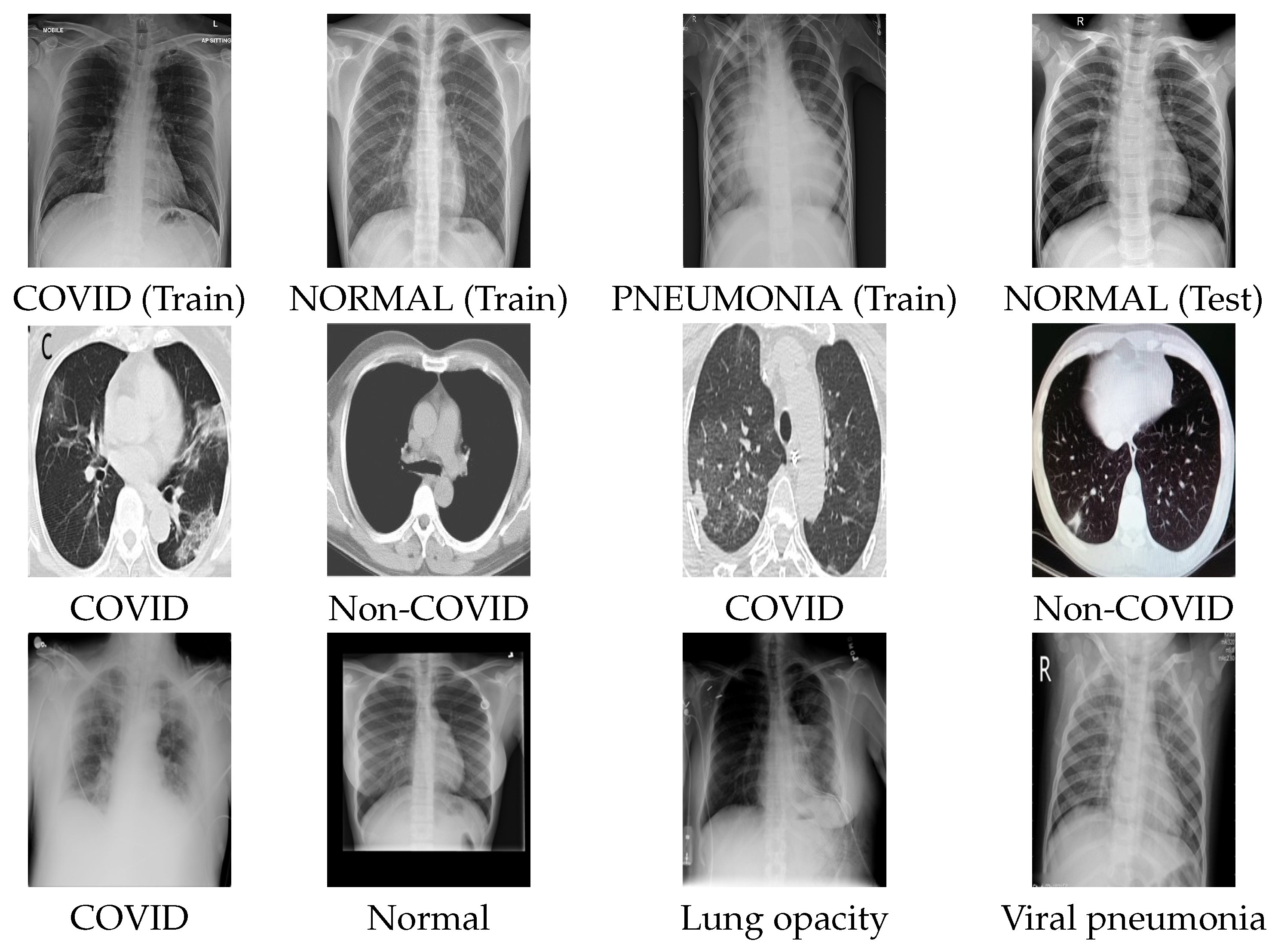 Entropy 23 01383 g004