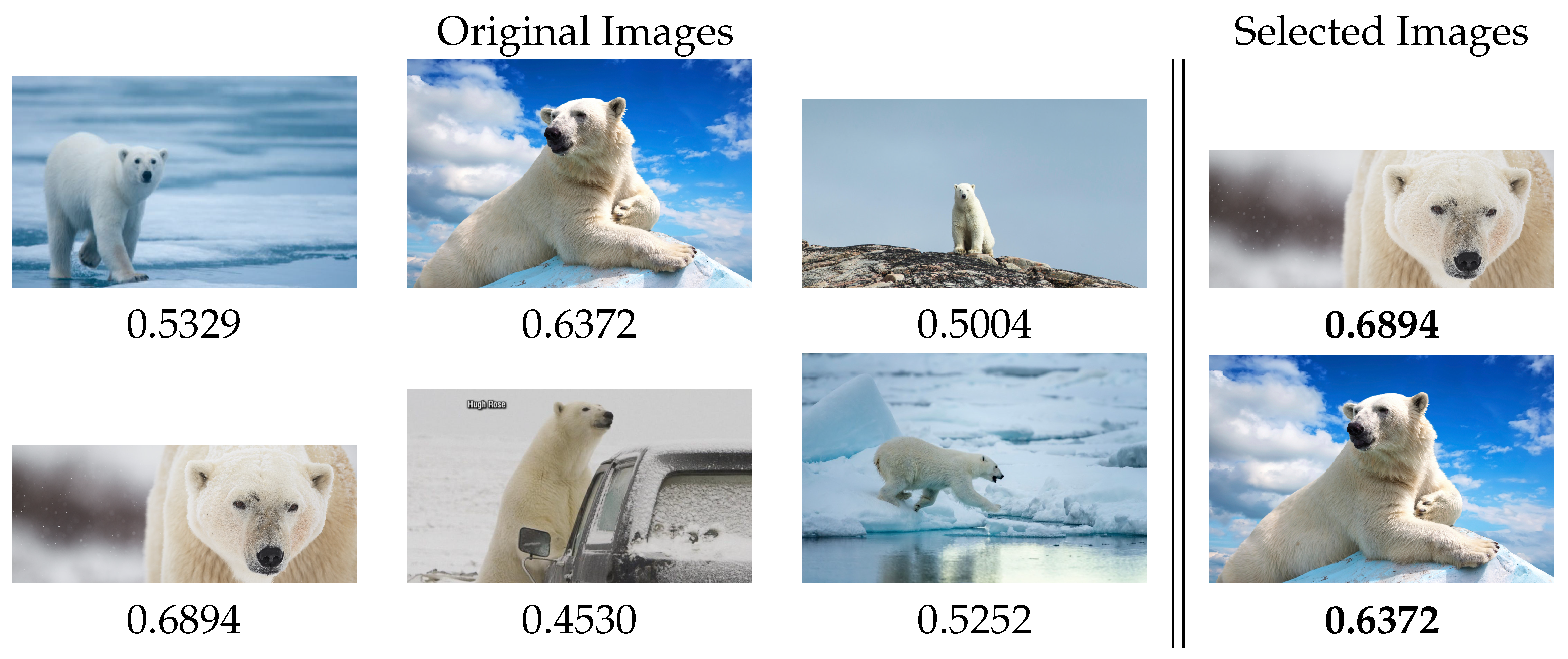 Entropy 23 01389 g009 550