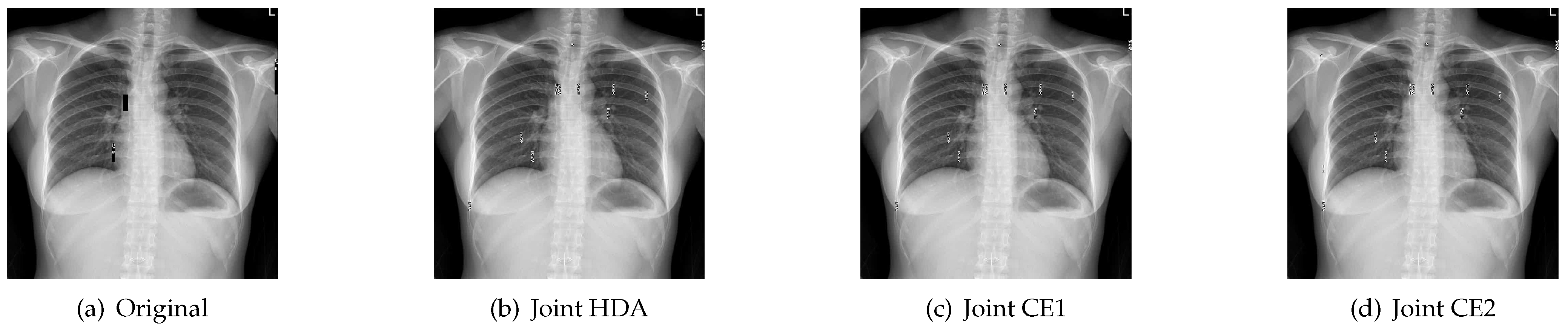 Entropy 23 01392 g010 550