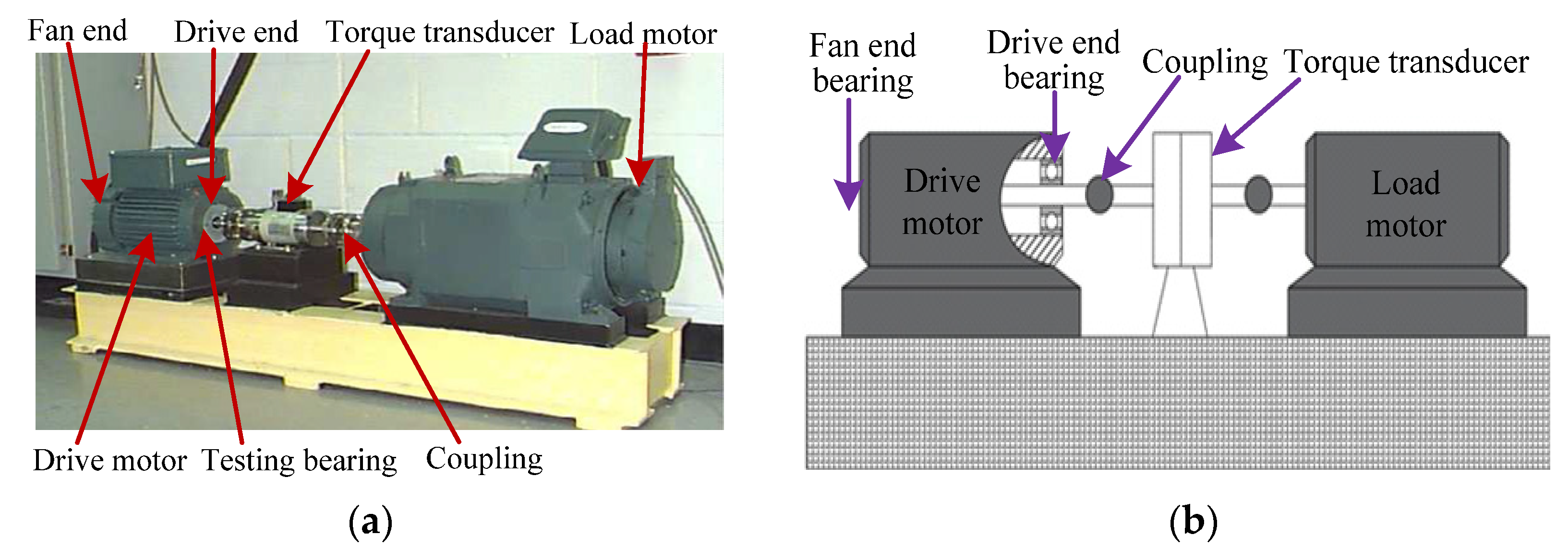Entropy 23 01402 g022 550