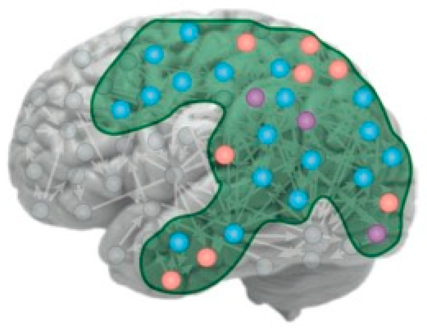 Entropy 23 01443 g001