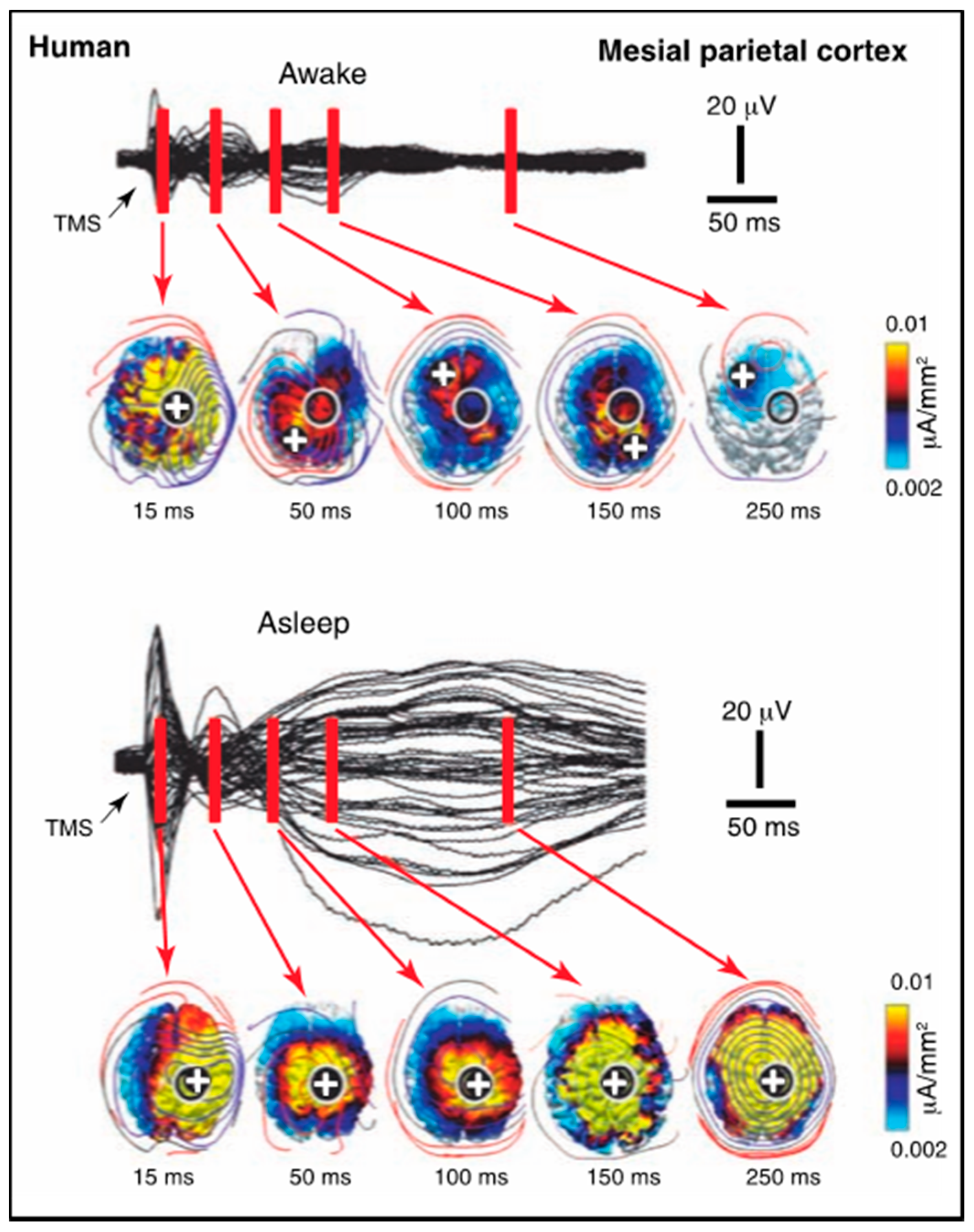Entropy 23 01443 g005
