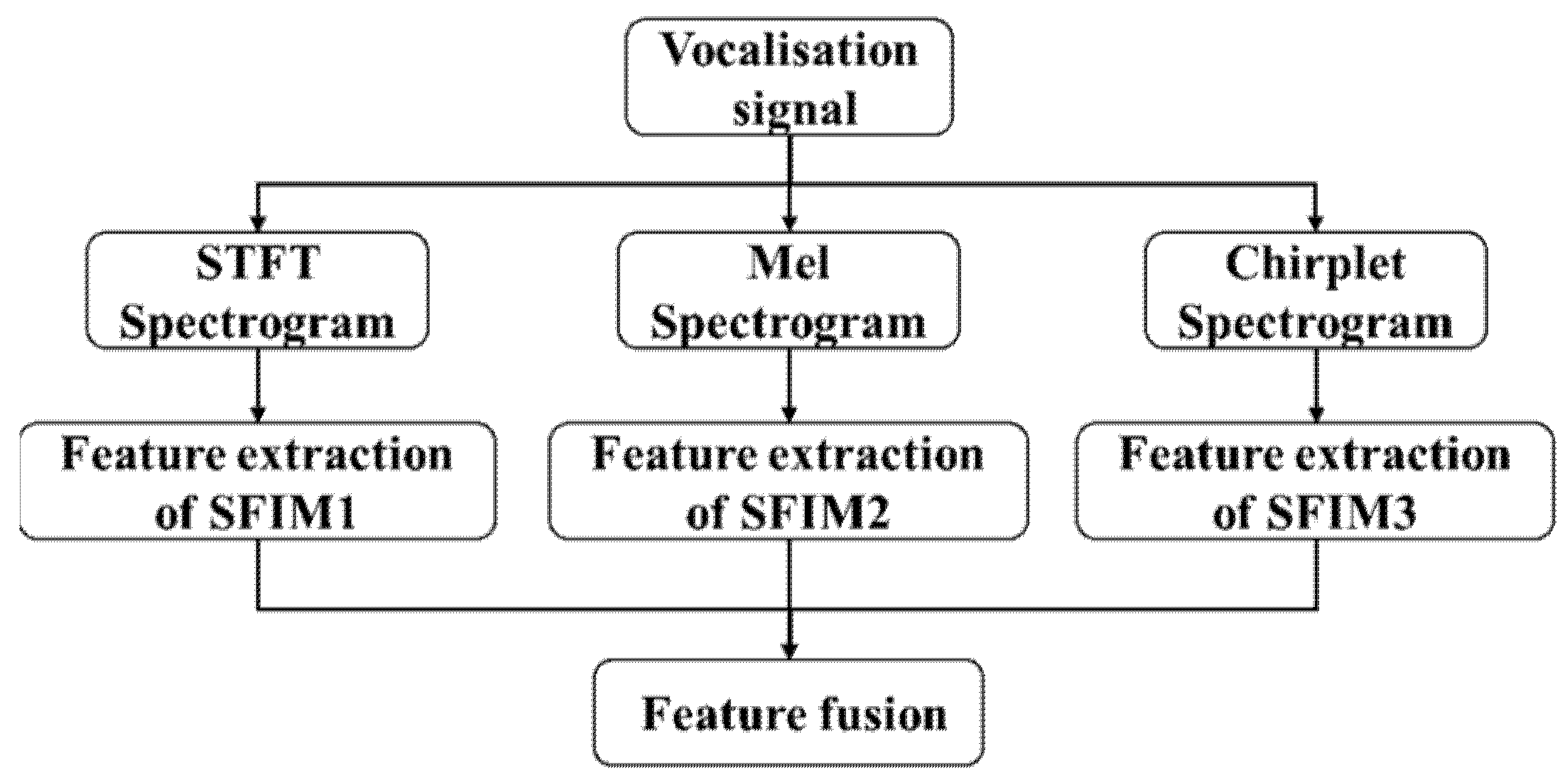 Entropy 23 01507 g003