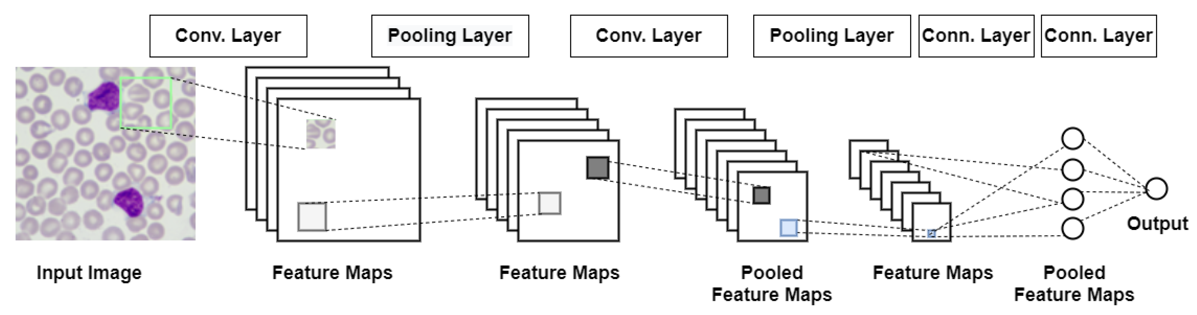 Entropy 23 01522 g001 550