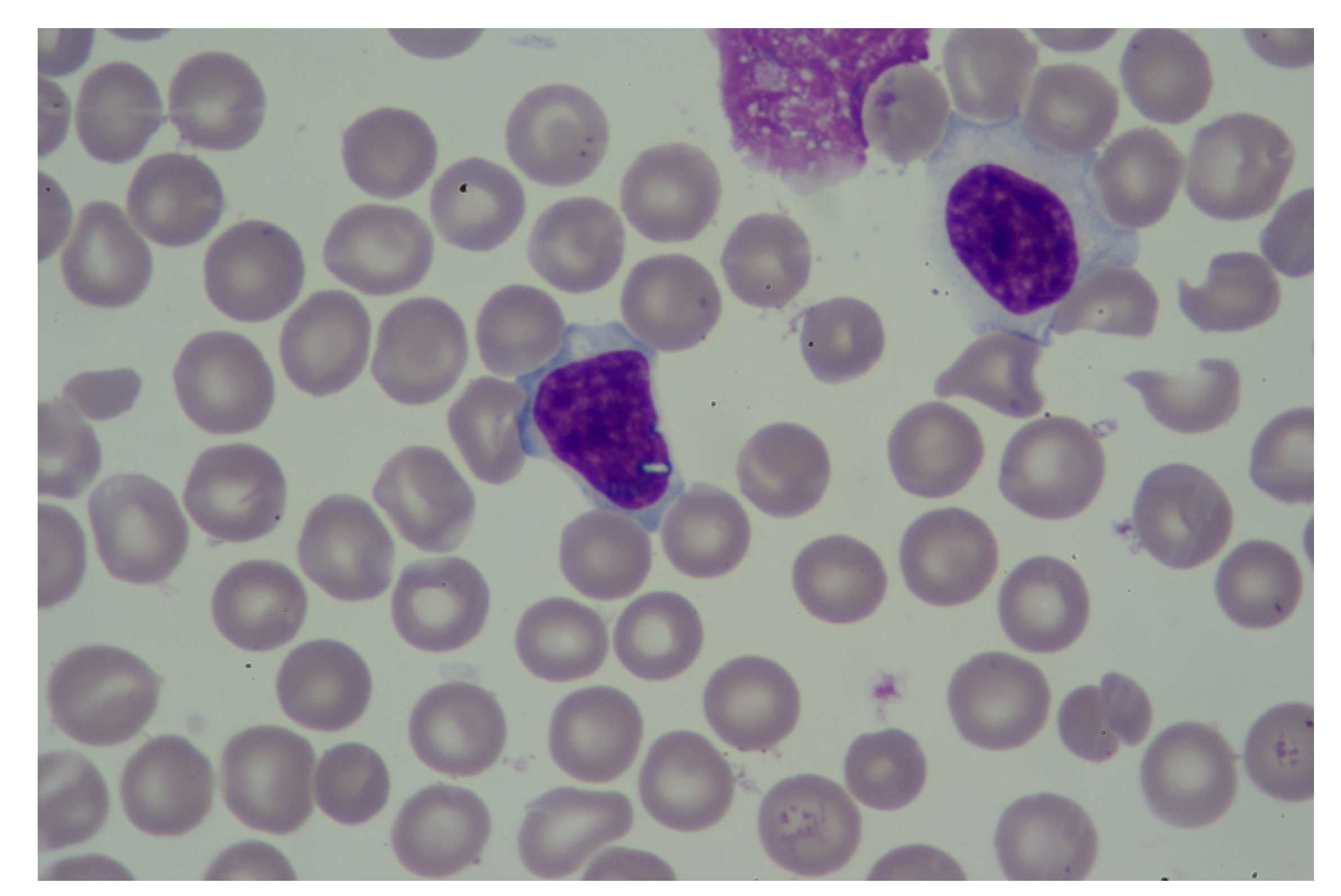 Entropy 23 01522 g006 550