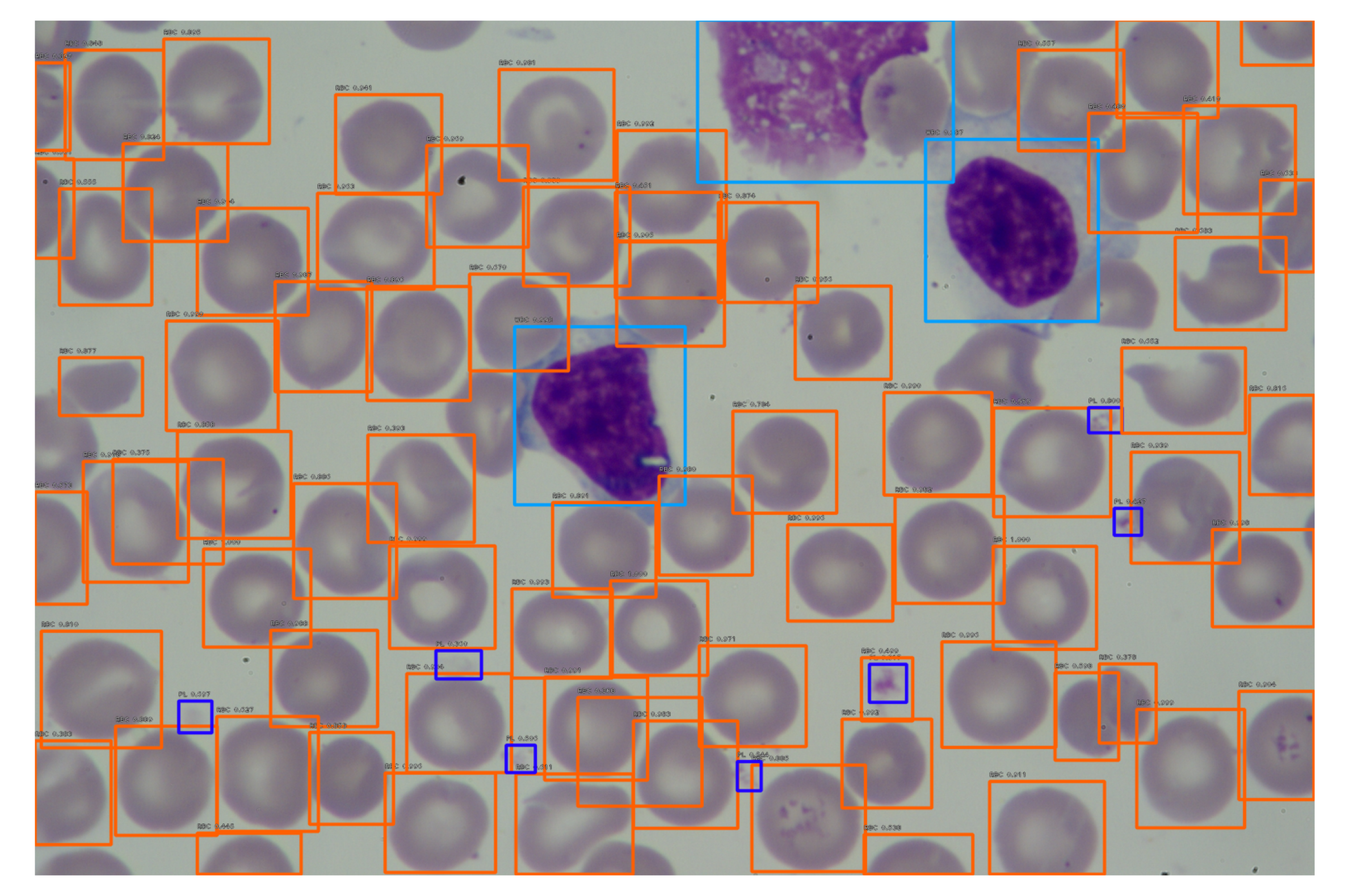 Entropy 23 01522 g007 550