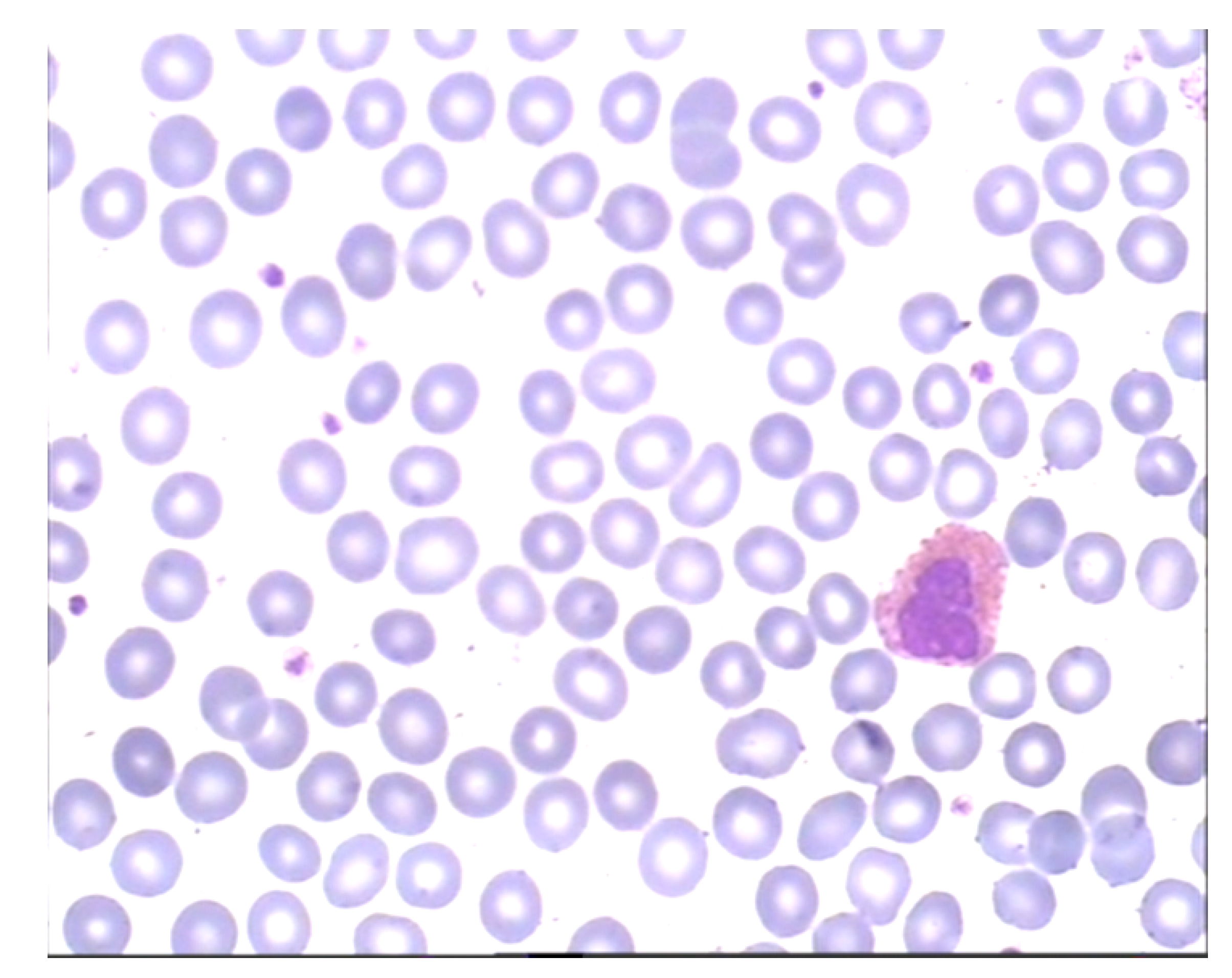 Entropy 23 01522 g011 550