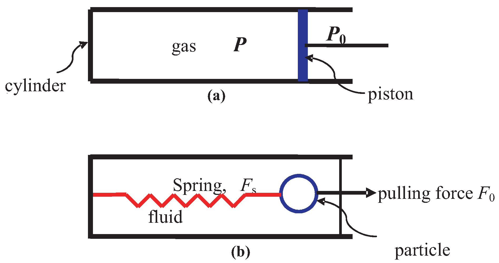 Entropy 23 01584 g004 550