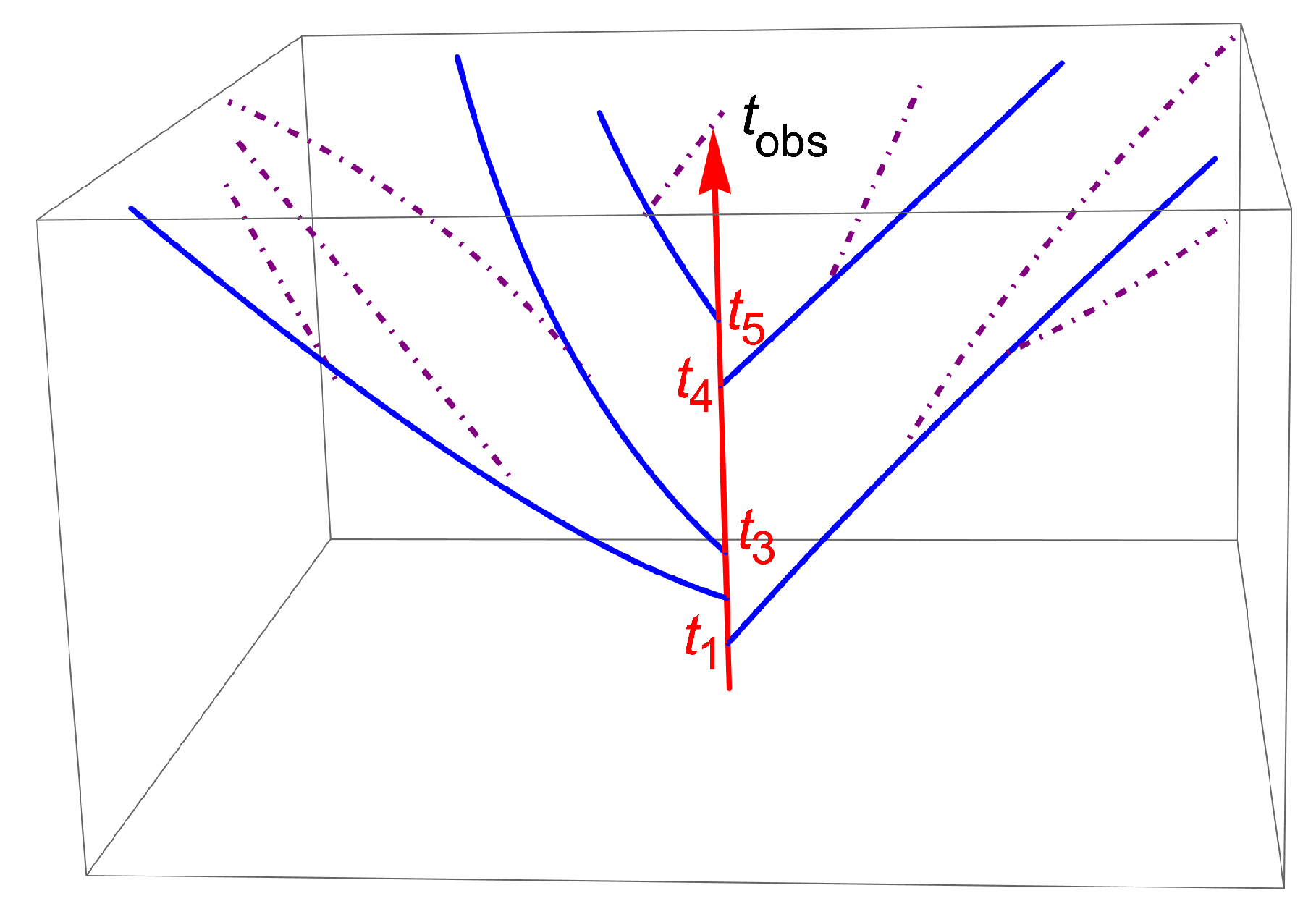 Entropy 23 01643 g002