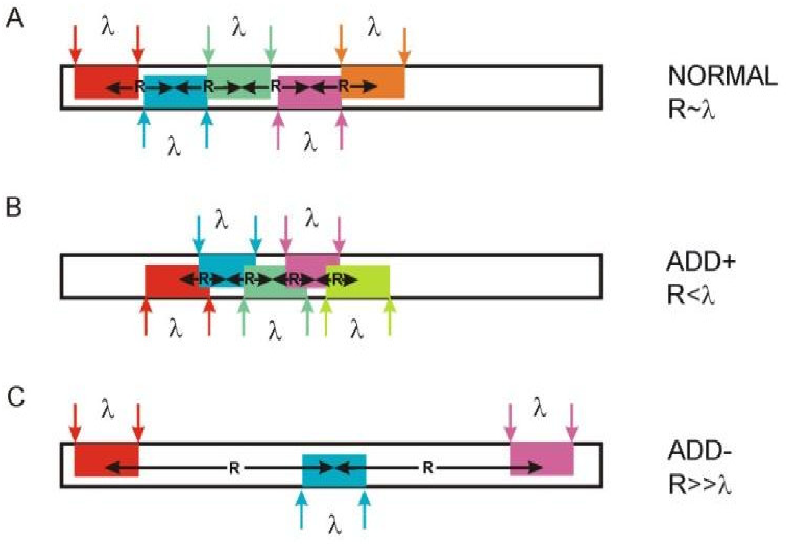 Entropy 23 01647 g007