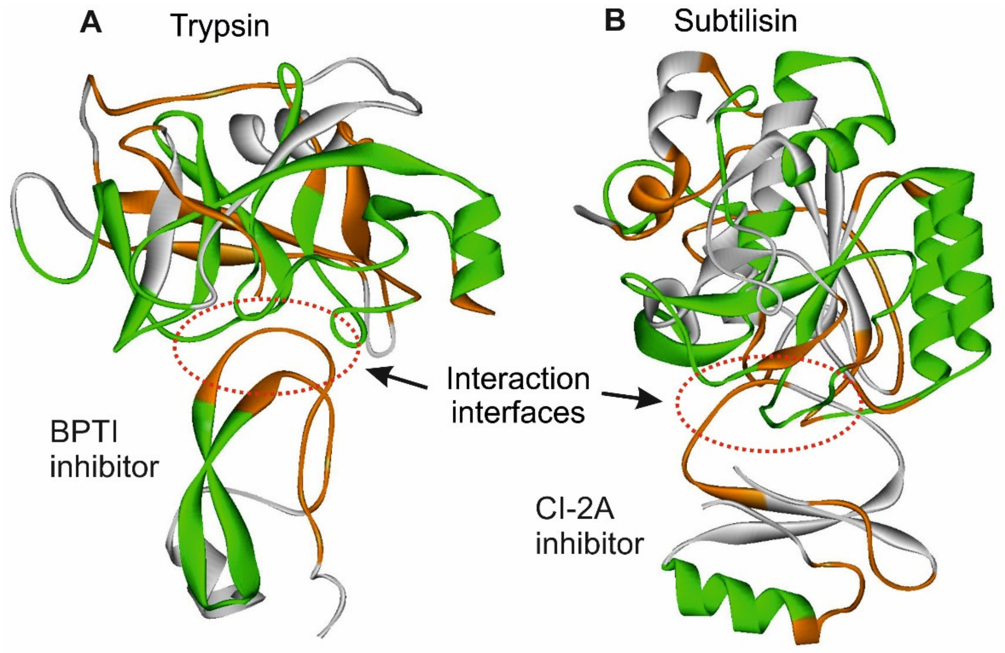 Entropy 23 01647 g014