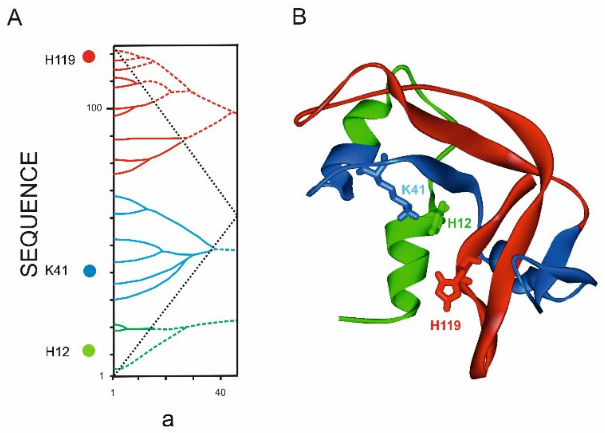 Entropy 23 01647 g018