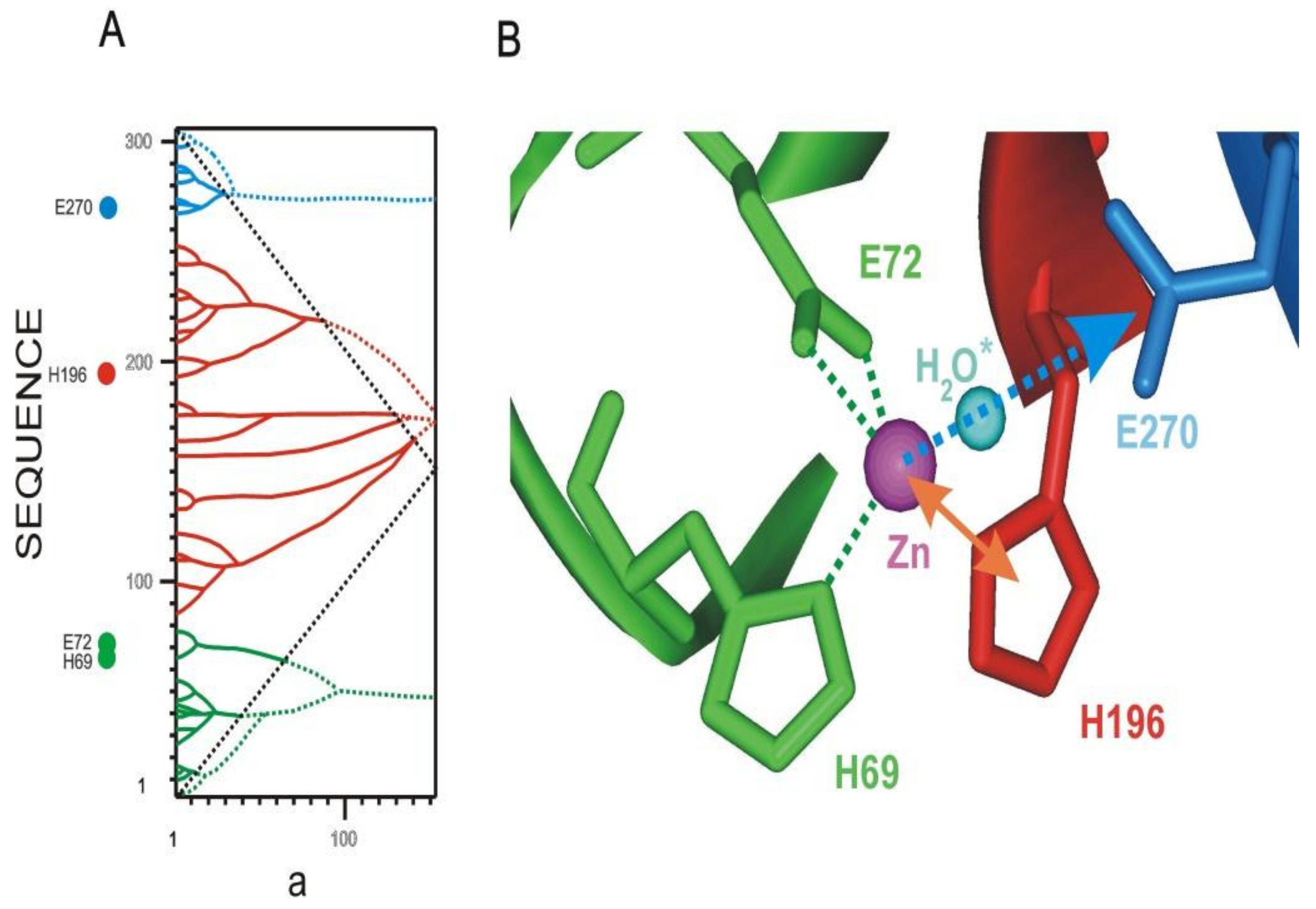 Entropy 23 01647 g019