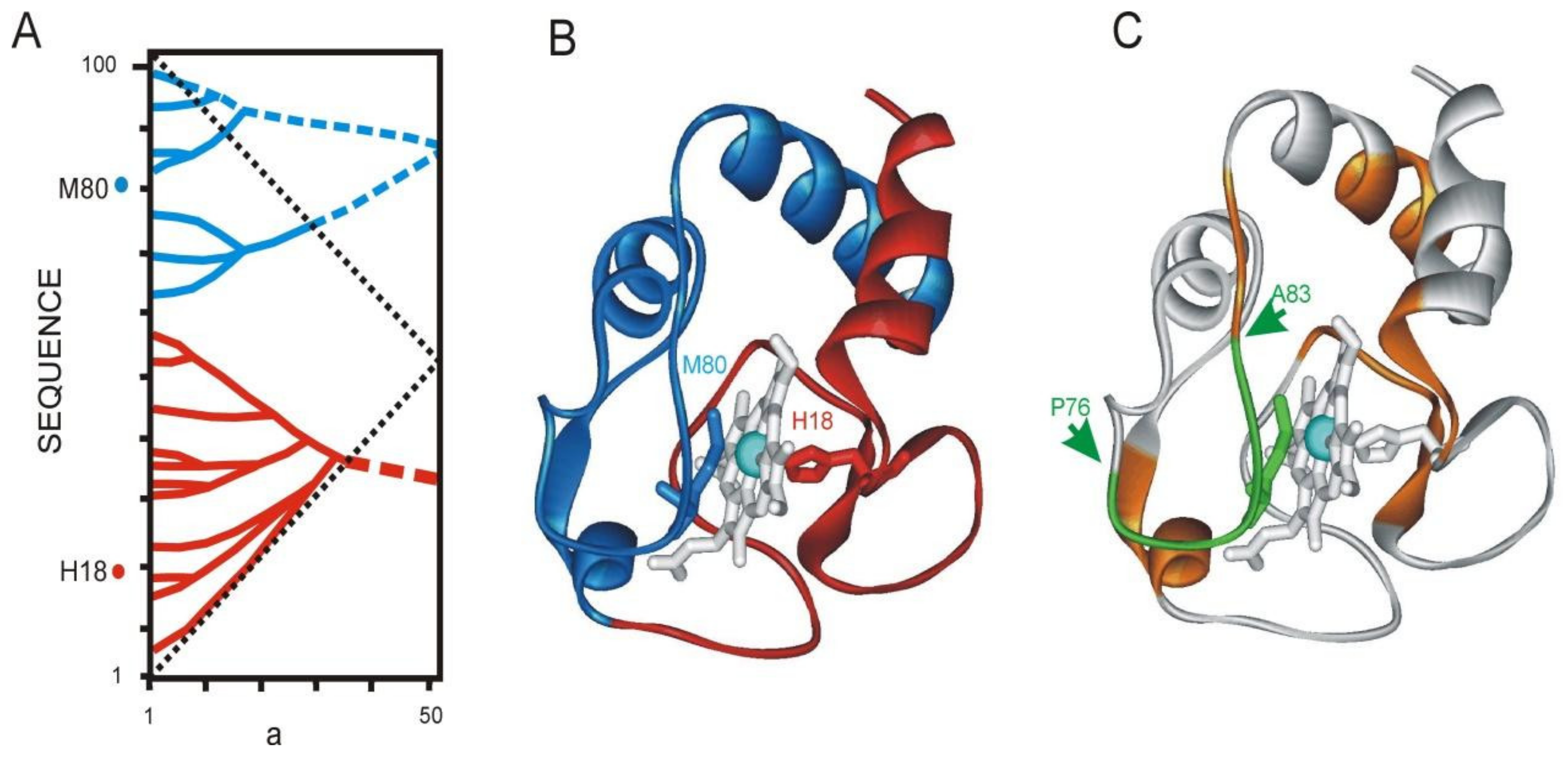 Entropy 23 01647 g021
