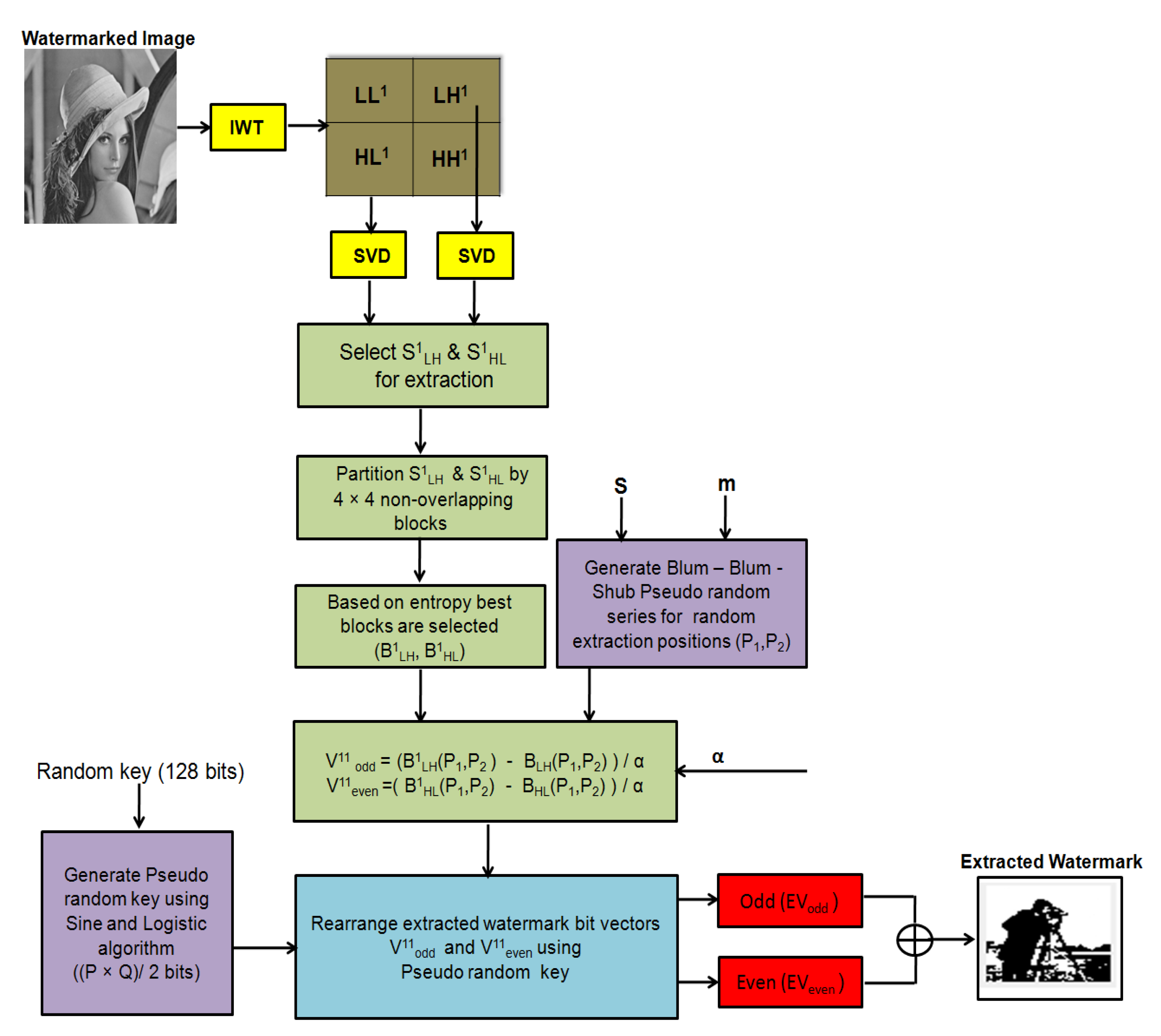 Entropy 23 01650 g003