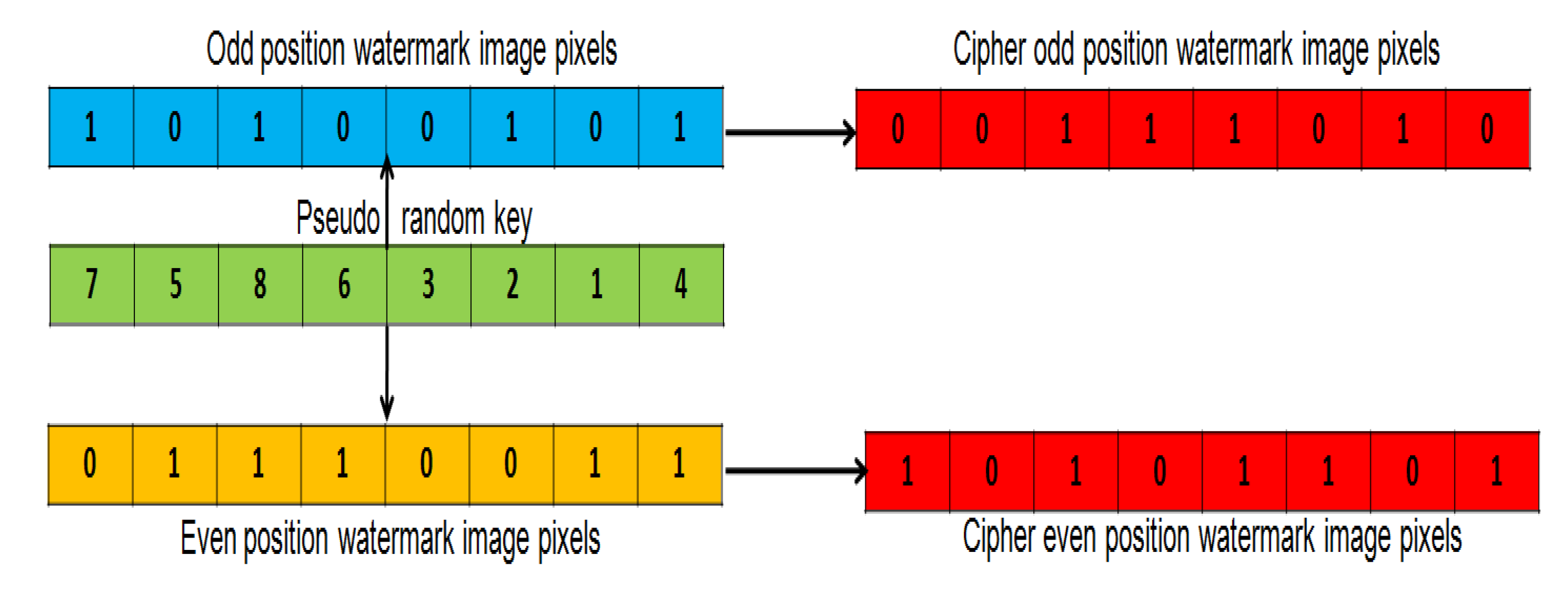 Entropy 23 01650 g006