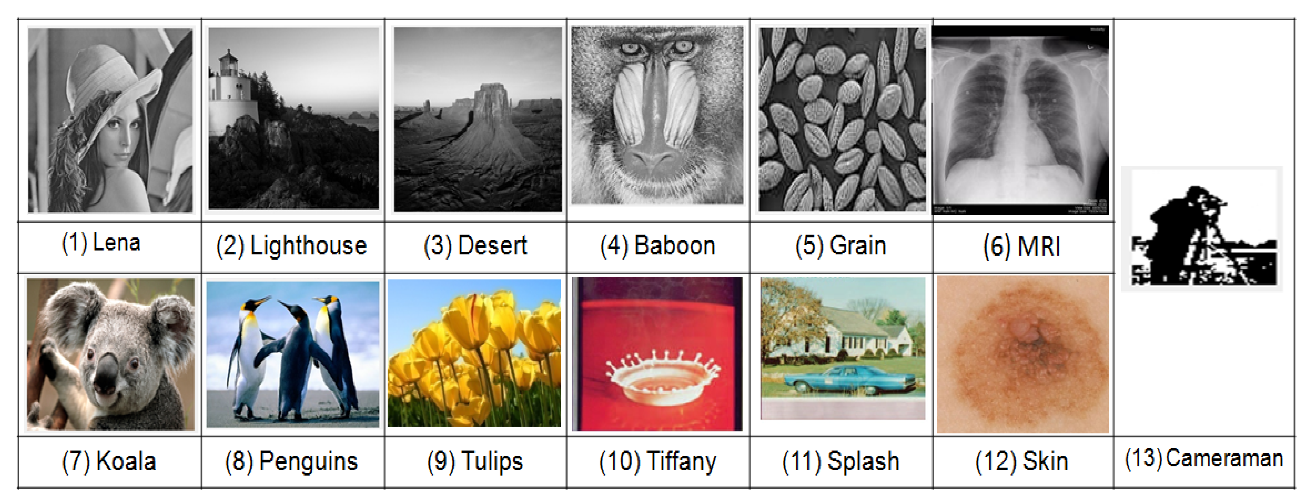 Entropy 23 01650 g010