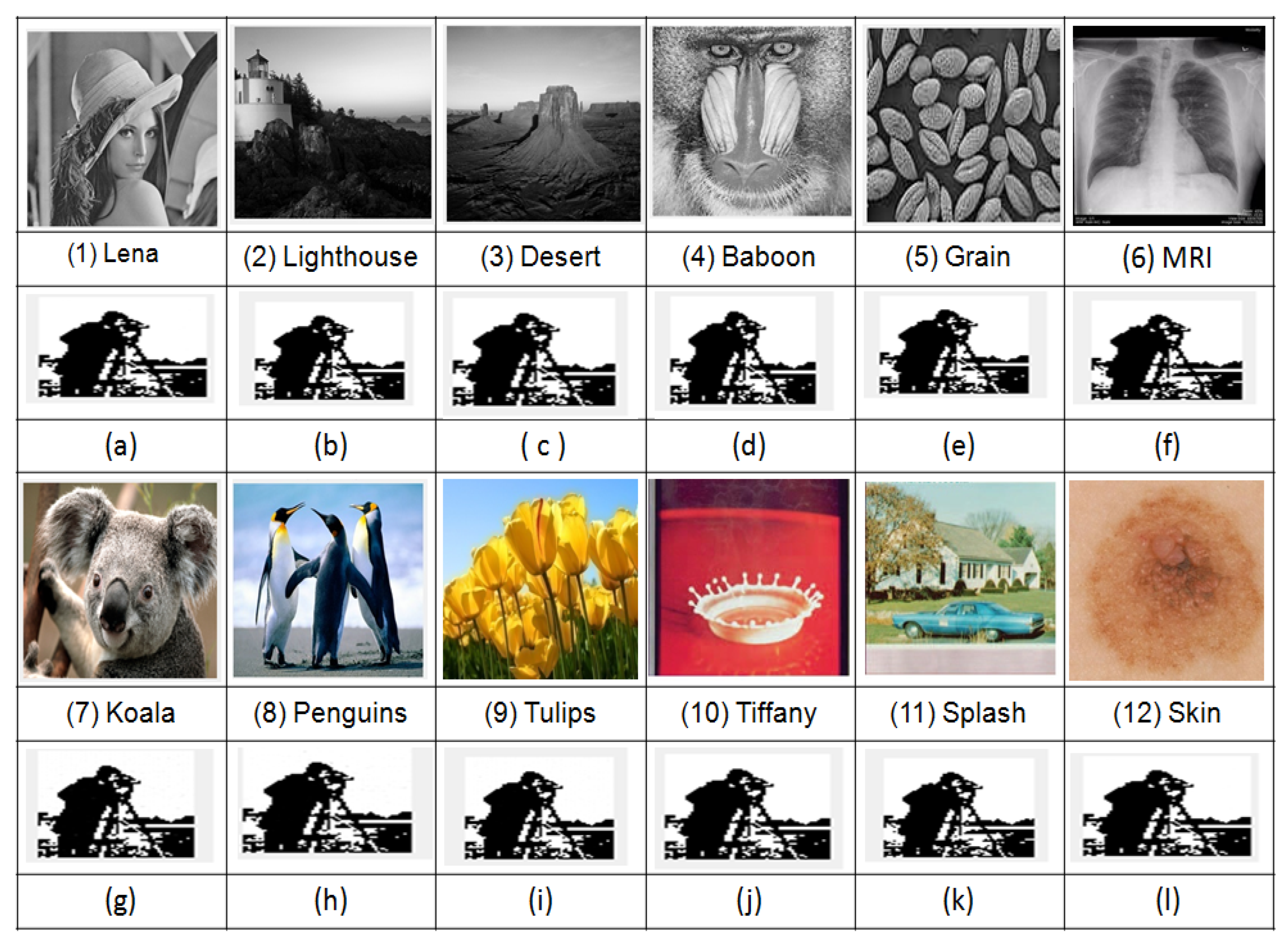 Entropy 23 01650 g011
