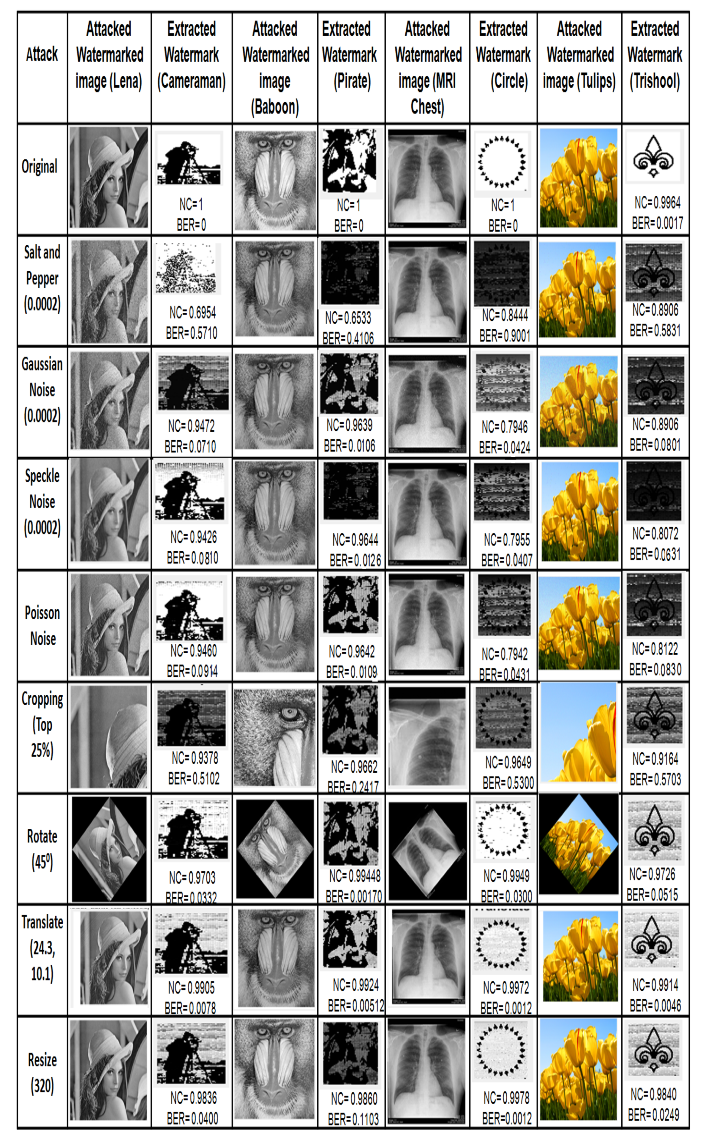 Entropy 23 01650 g012