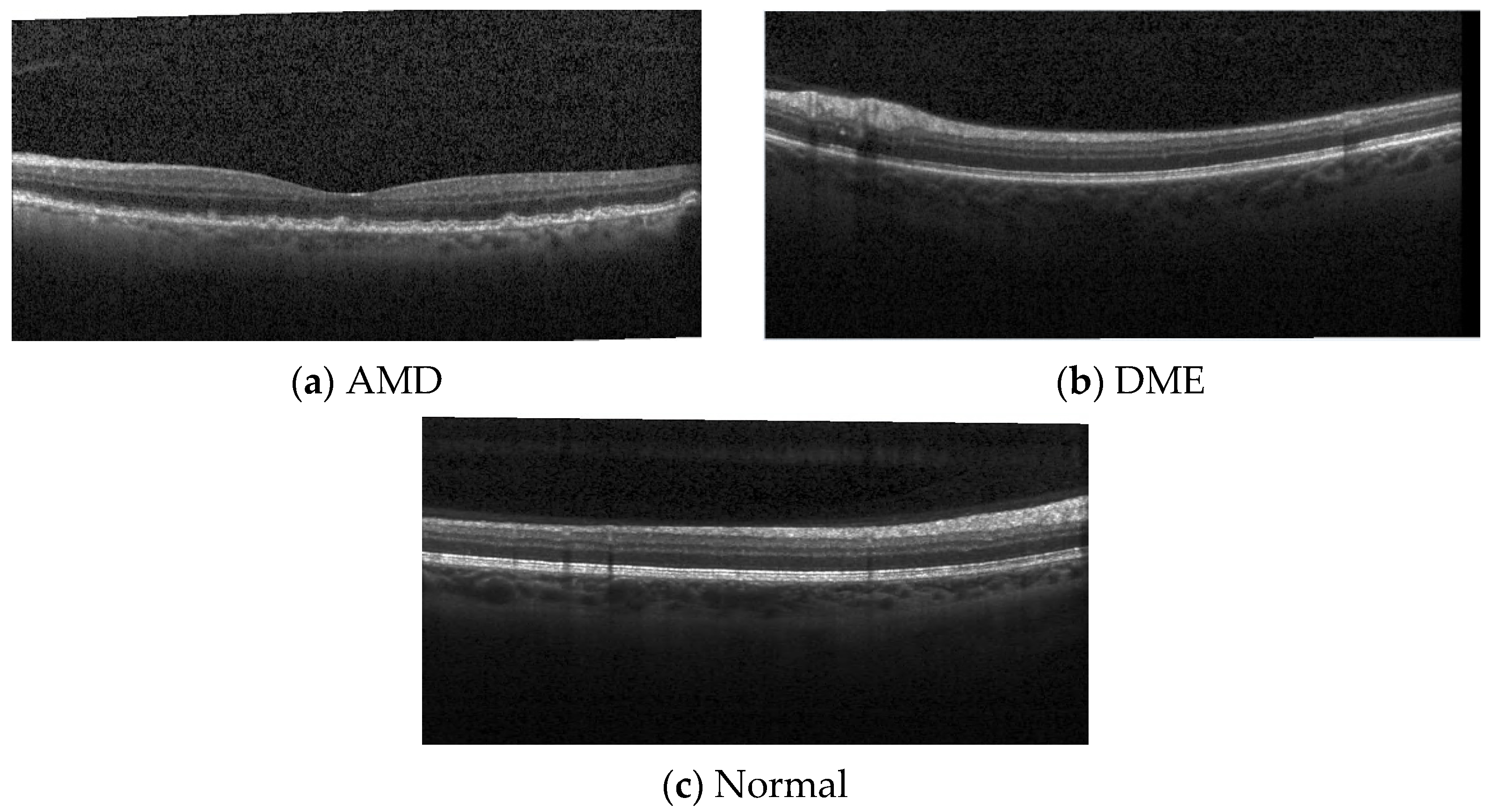 Entropy 23 01651 g002 550