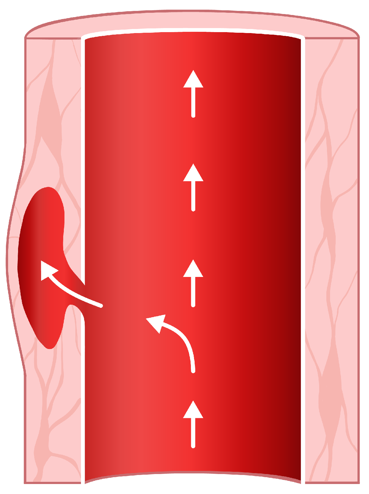 Entropy 23 01661 g001 550