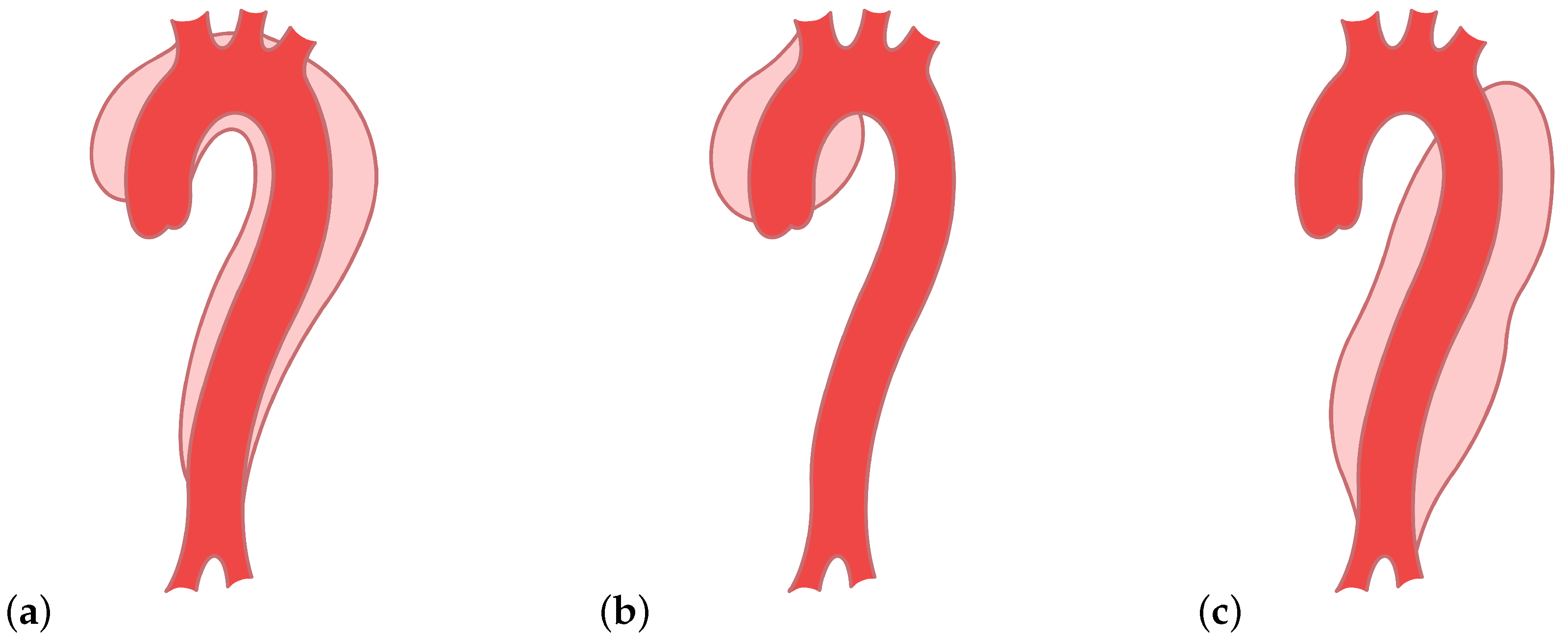 Entropy 23 01661 g002 550