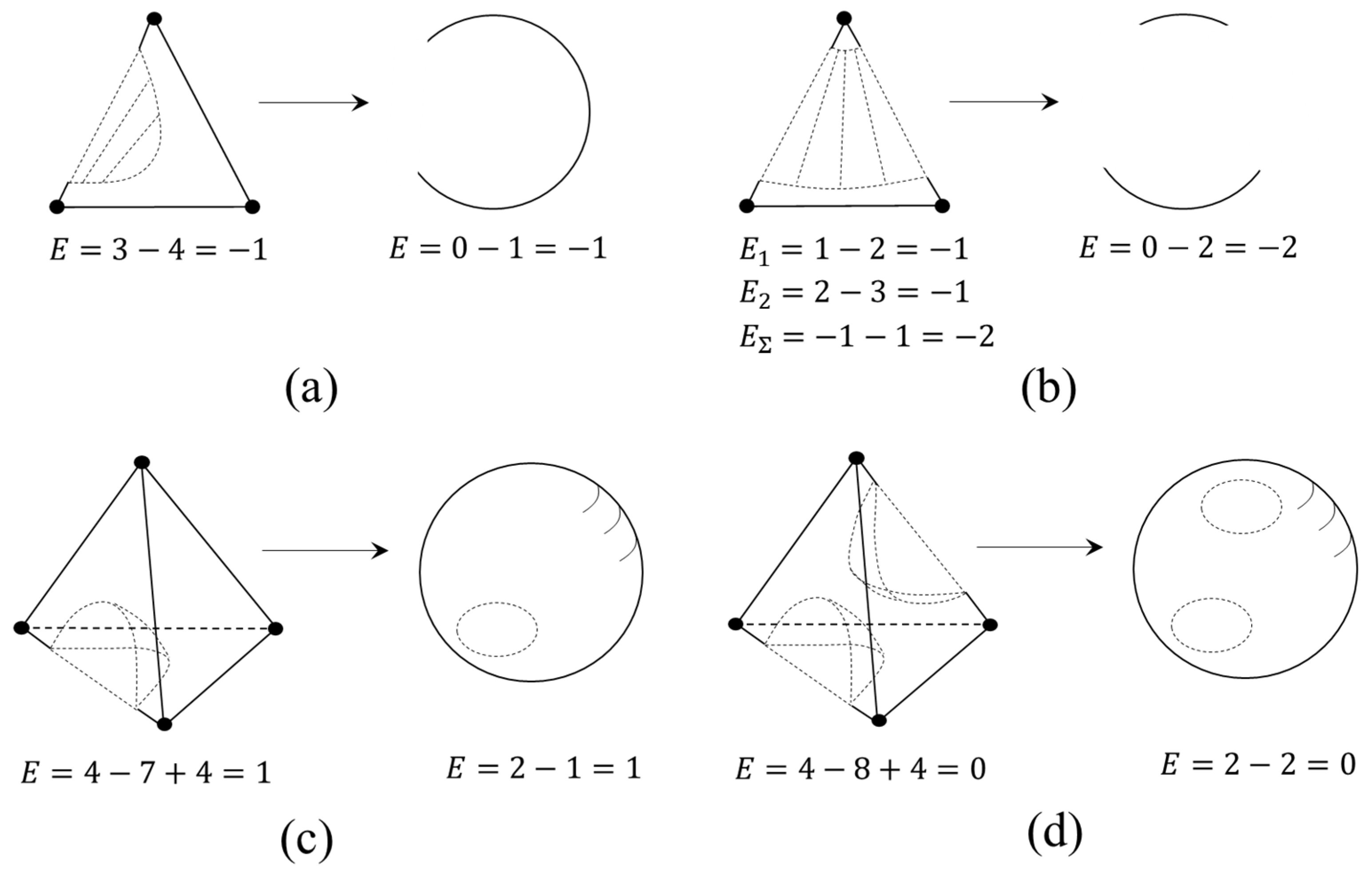Entropy 23 01666 g008