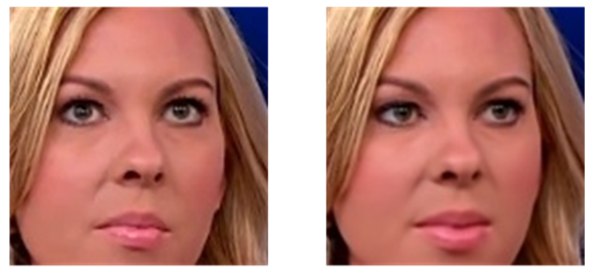 Entropy 23 01692 g001