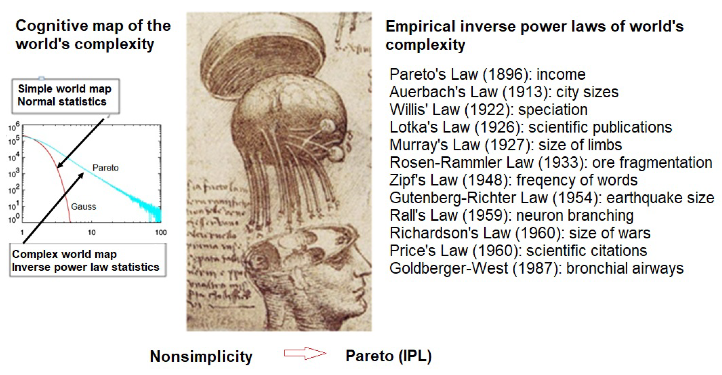 Entropy 23 01693 g002 550