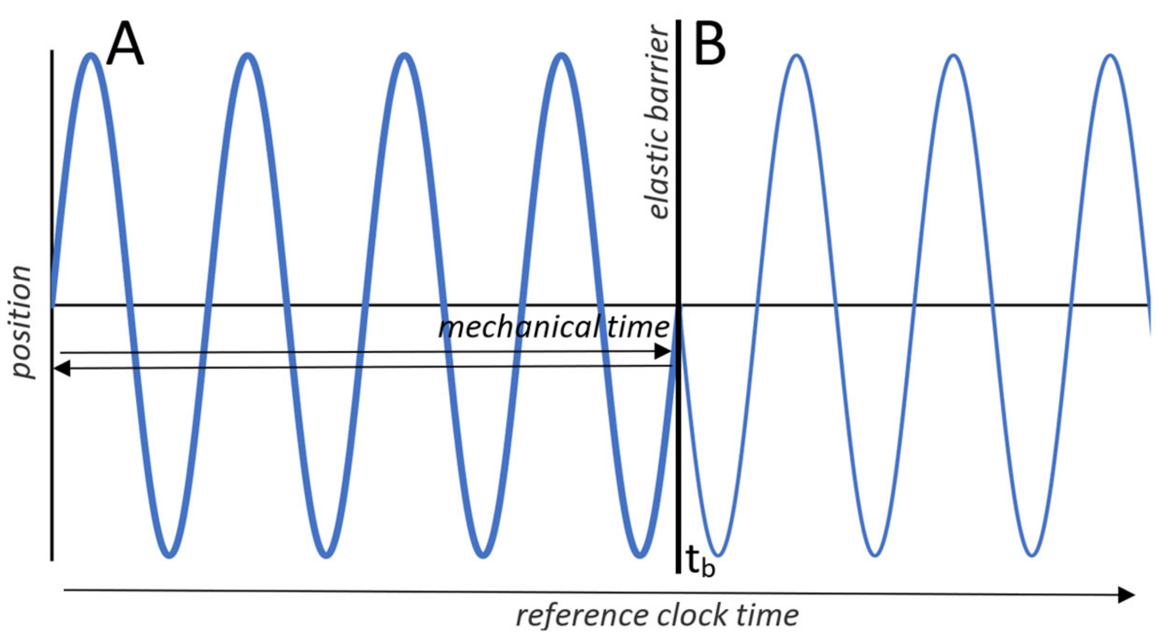 Entropy 23 01705 g003