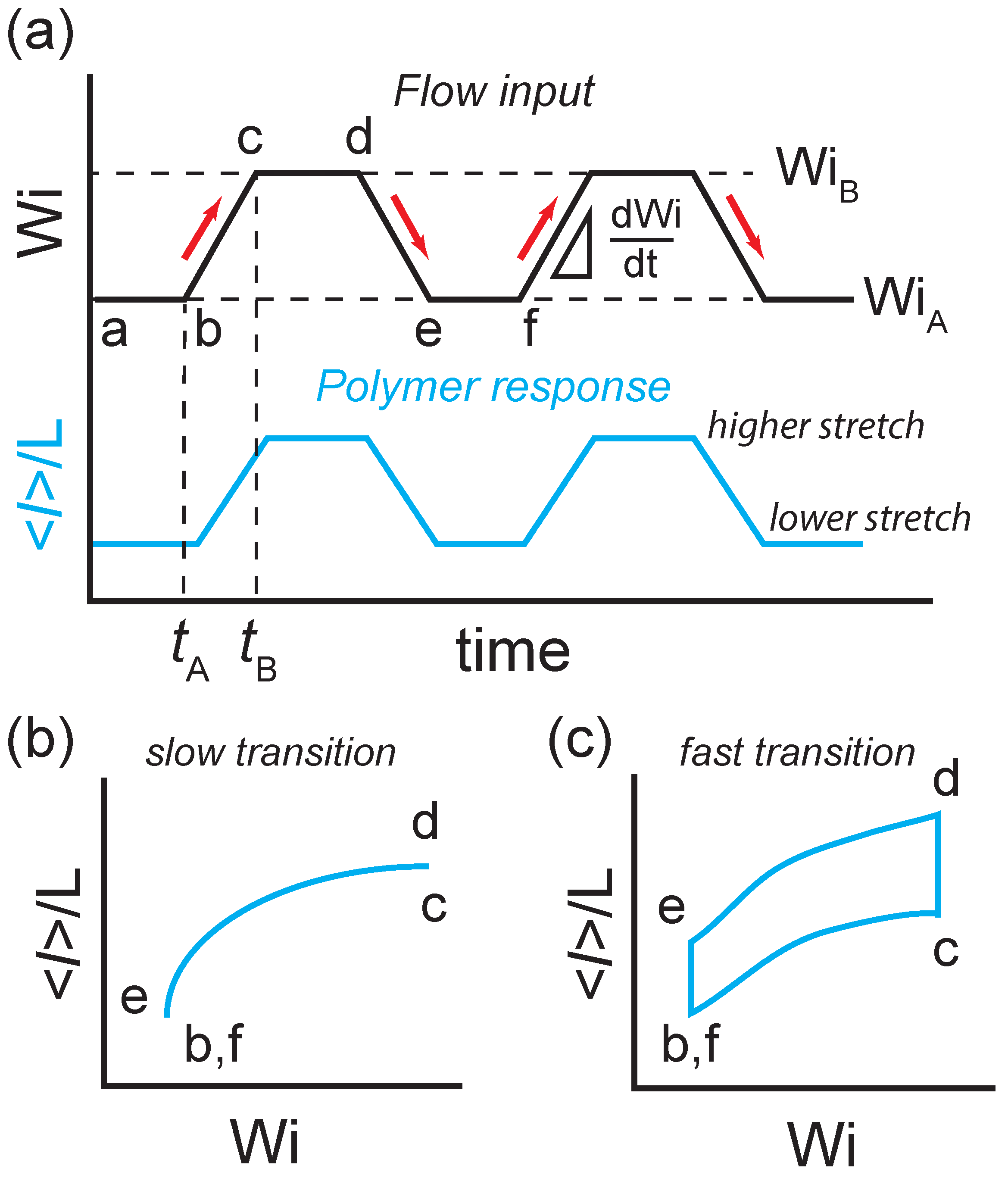 Entropy 24 00027 g001 550