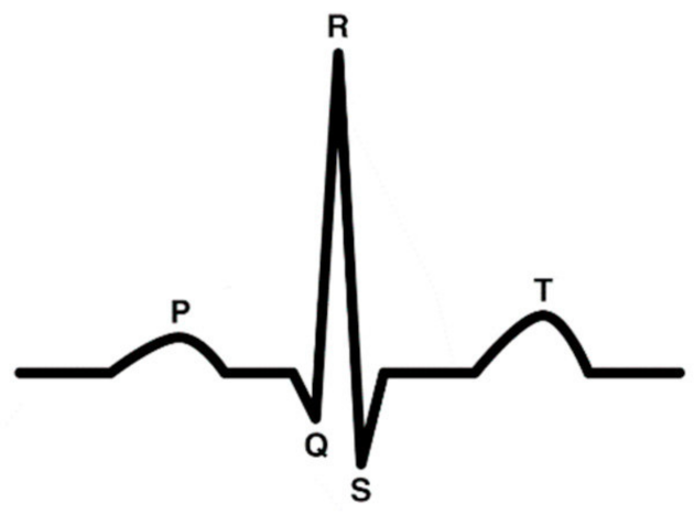 Entropy 24 00055 g019 550