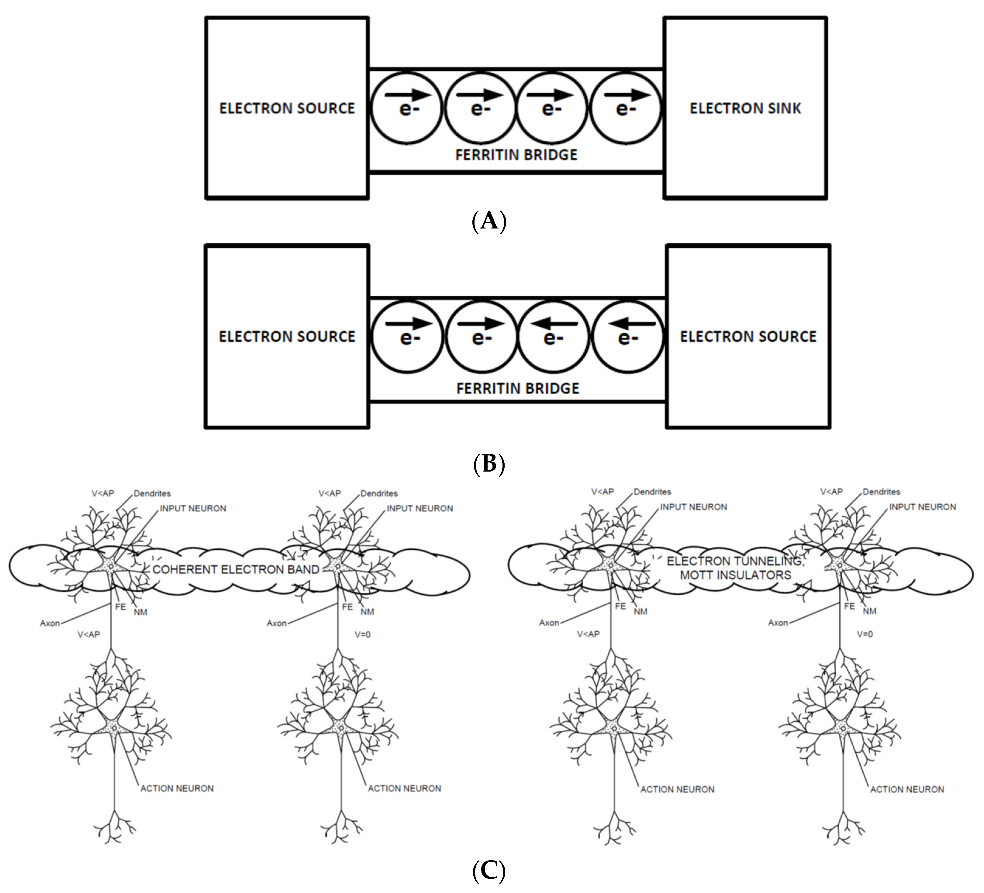Entropy 24 00091 g001