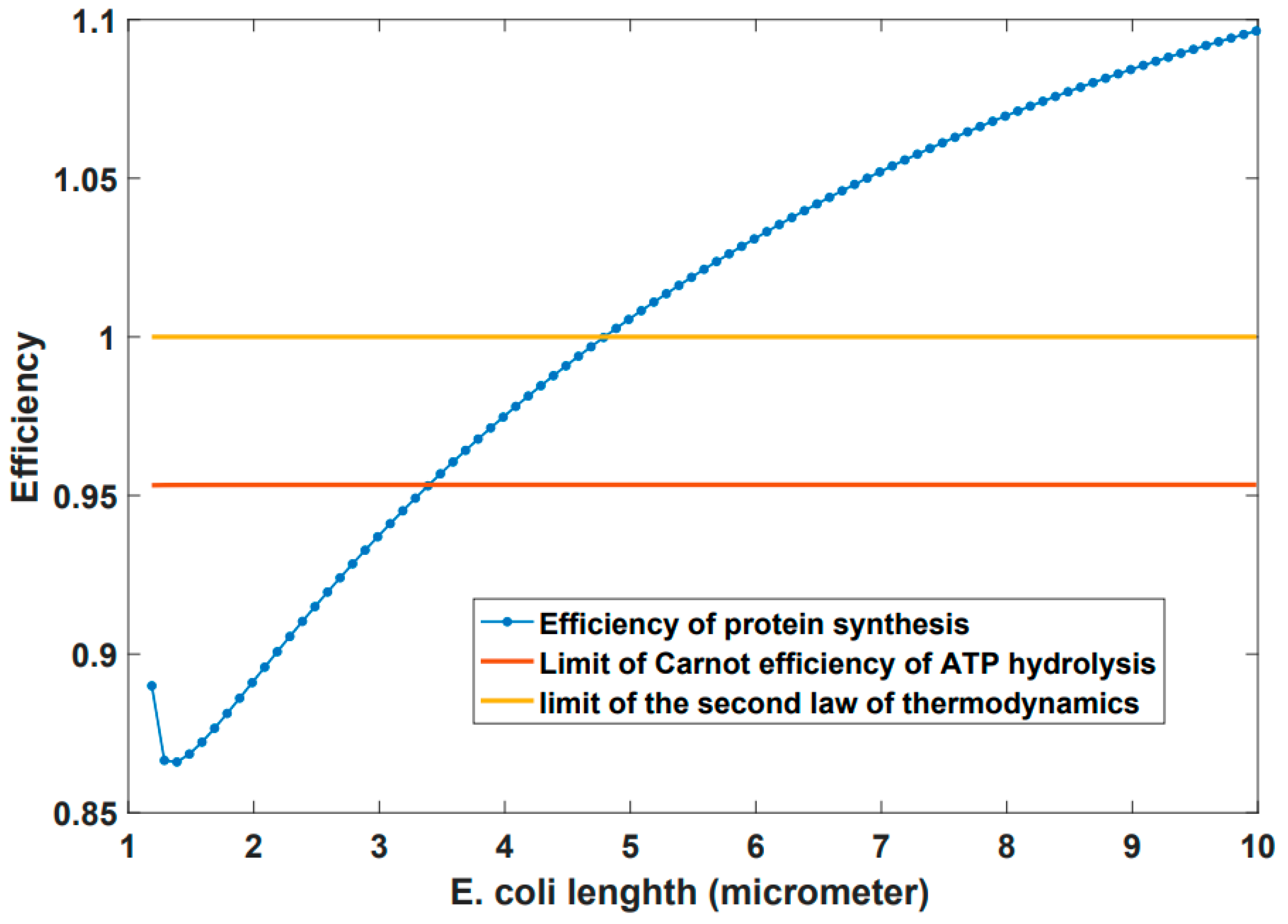 Entropy 24 00094 g003