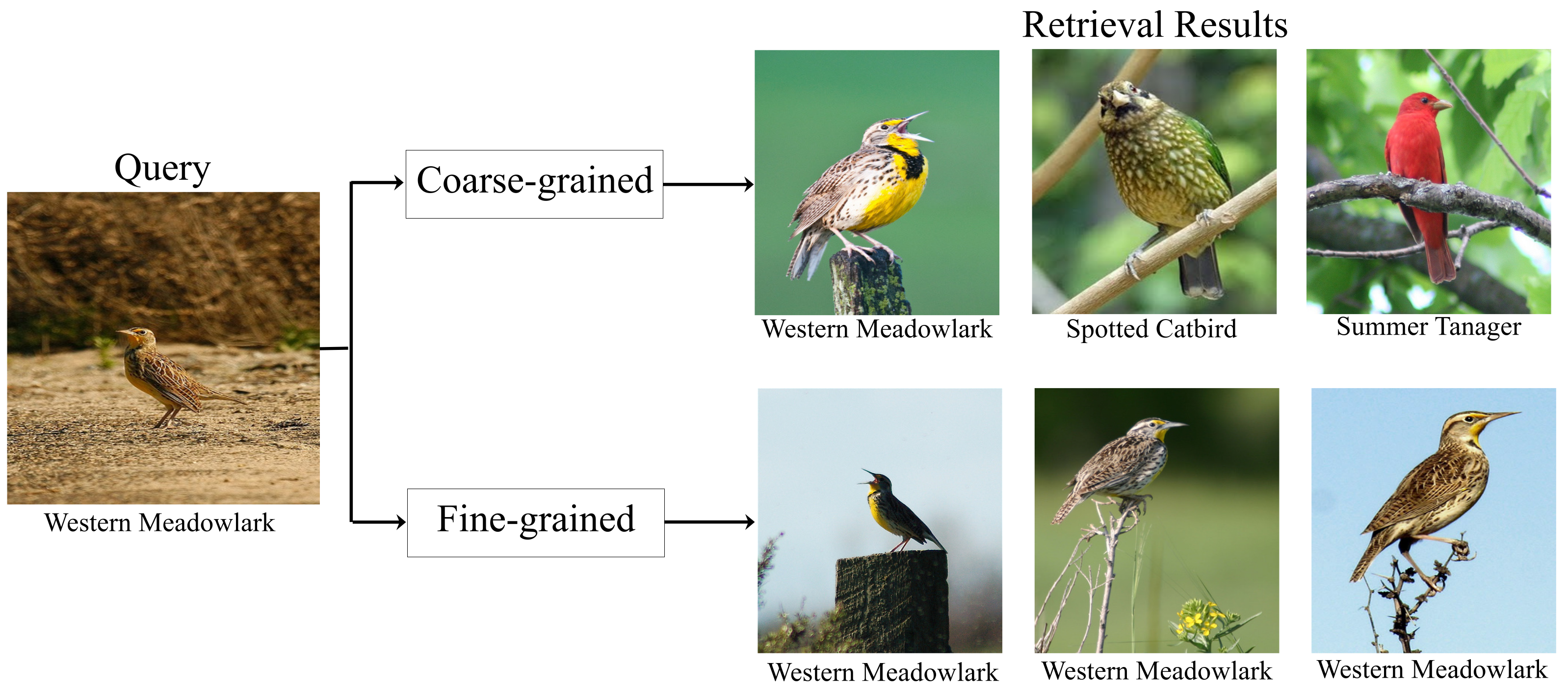 Entropy 24 00156 g001