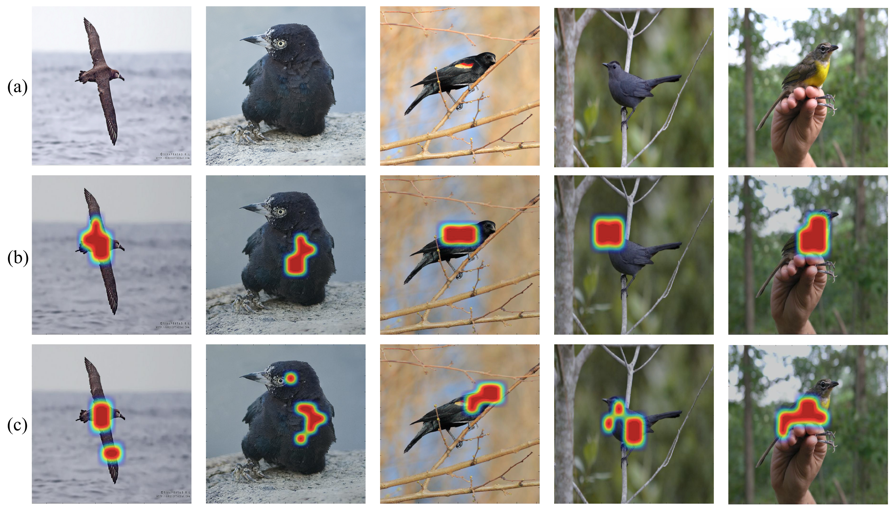 Entropy 24 00156 g005