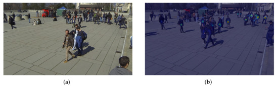 Pedestrian Detection with Multi-View Convolution Fusion Algorithm