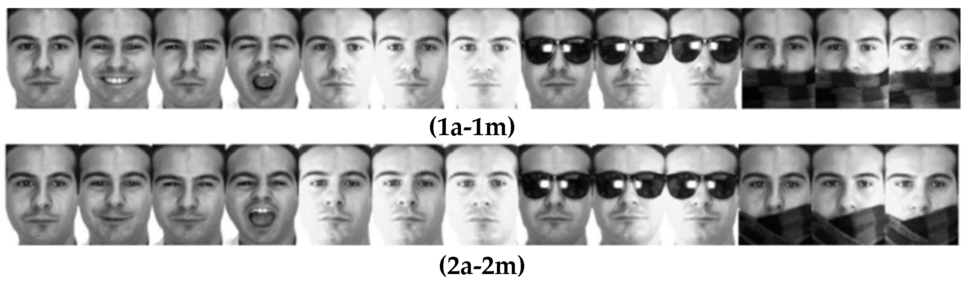 Entropy 24 00195 g001 550