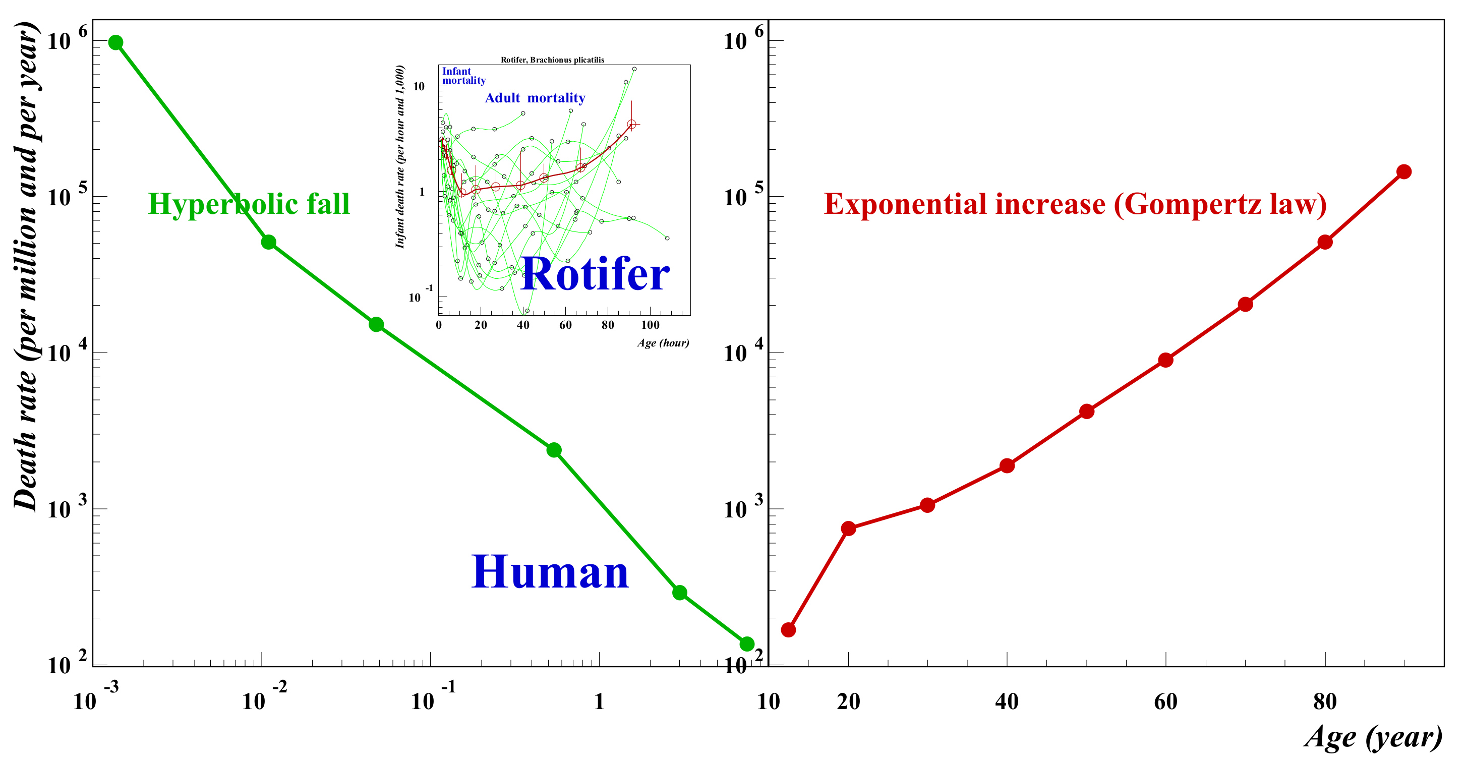 Entropy 24 00208 g001 550