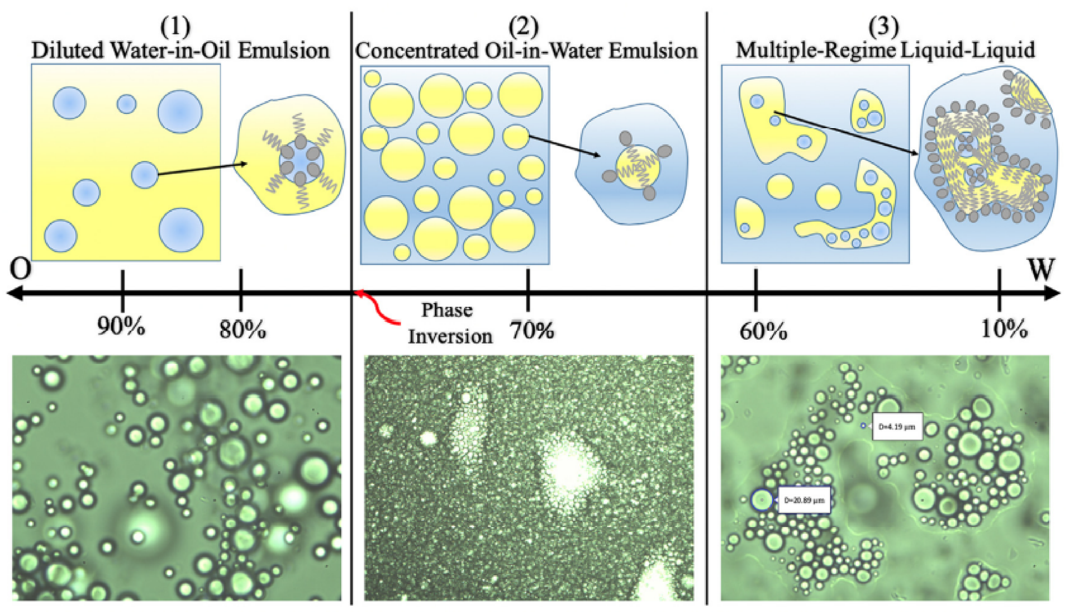 Entropy 24 00221 g004