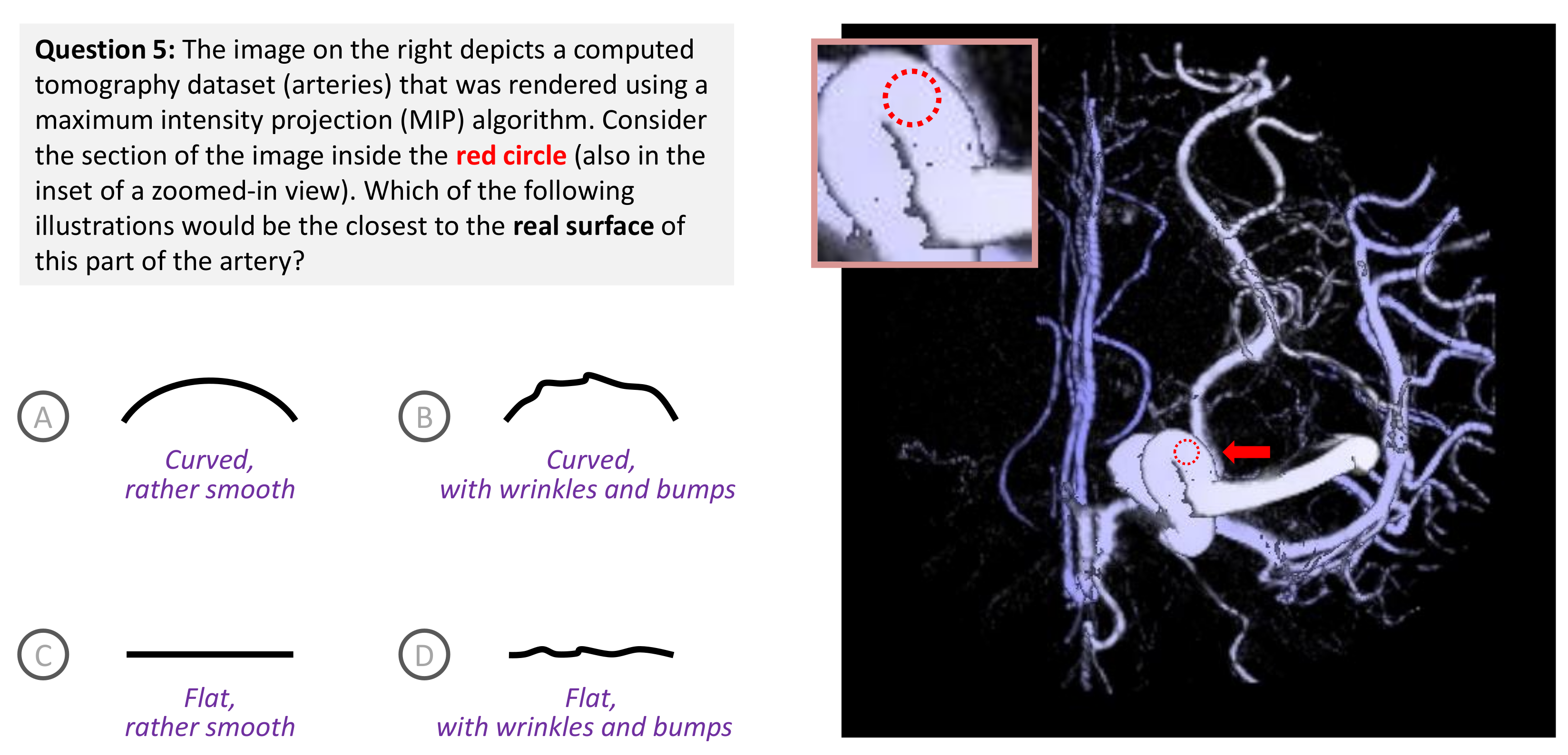 Entropy 24 00228 g003