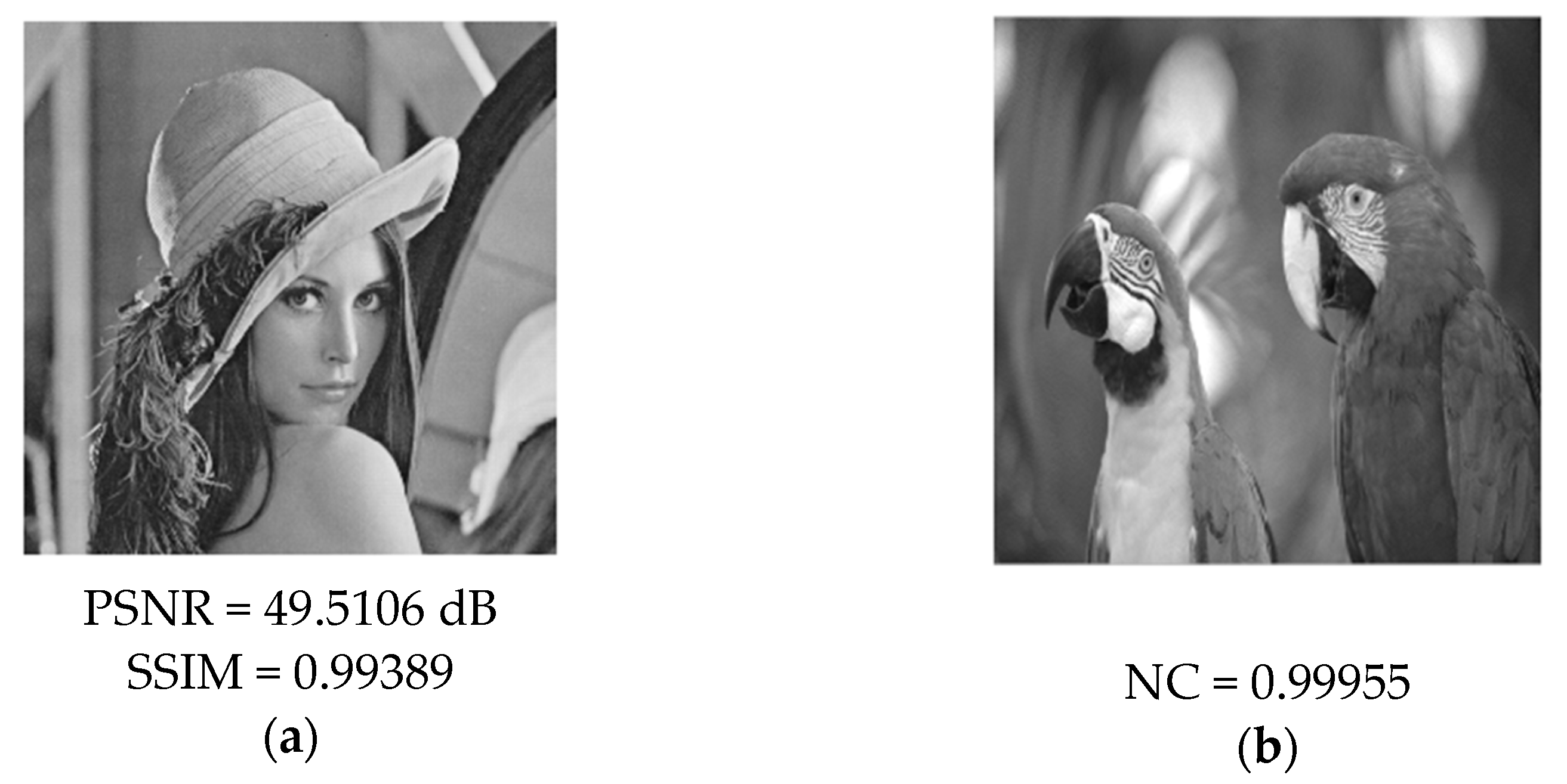 Entropy 24 00246 g009 550