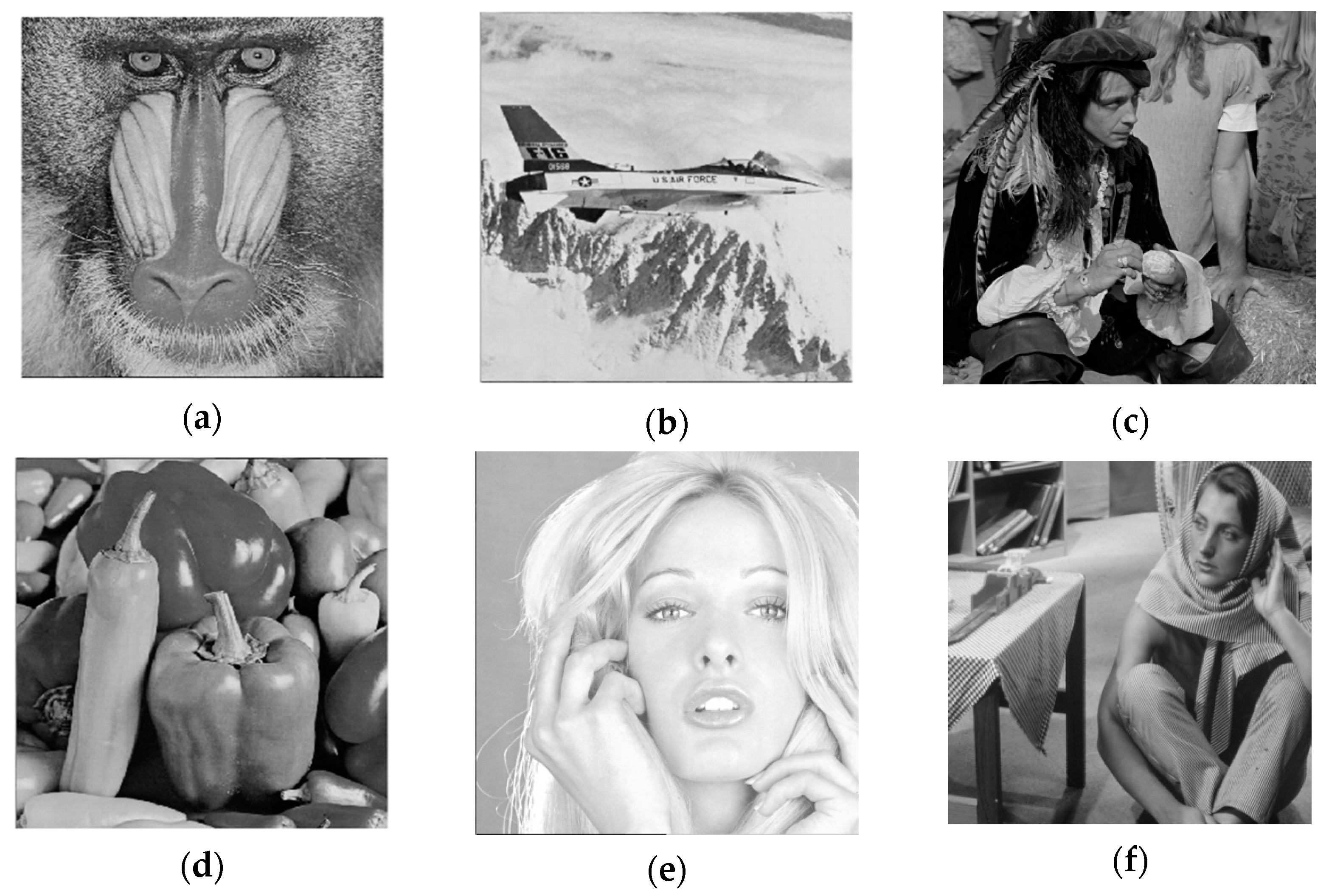 Entropy 24 00246 g011 550