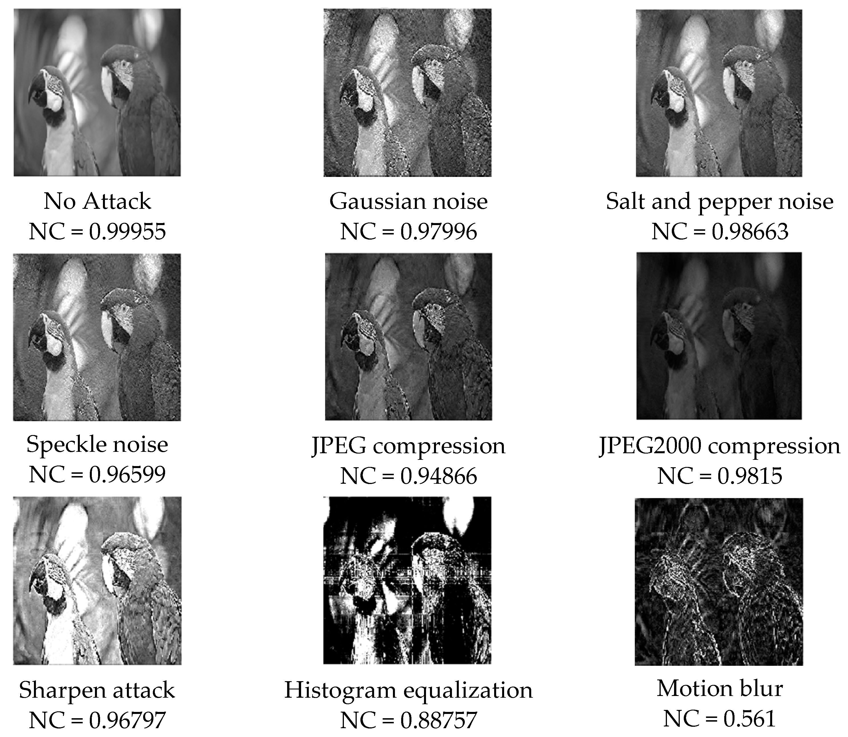 Entropy 24 00246 g012 550