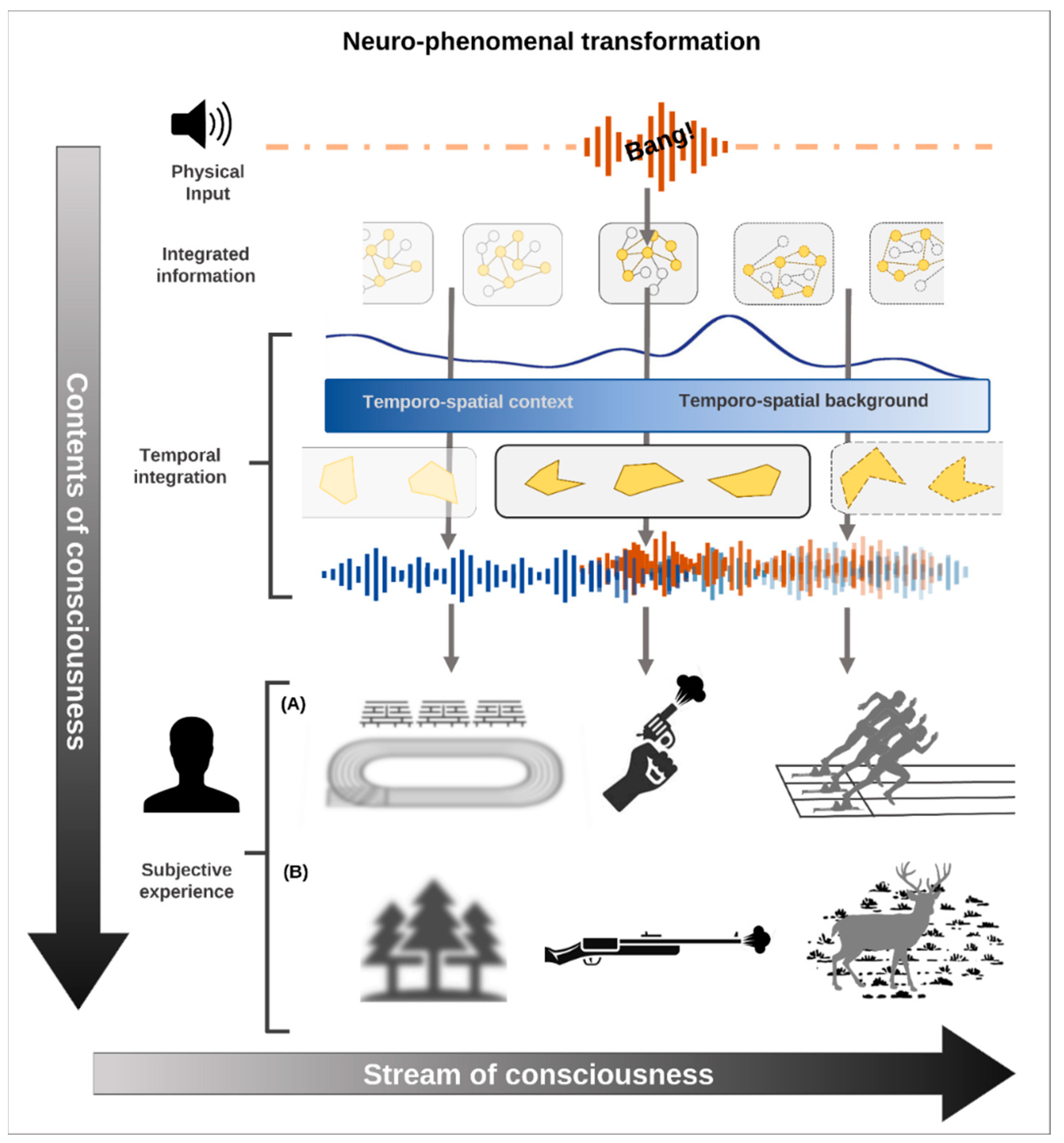 Entropy 24 00270 g003 550