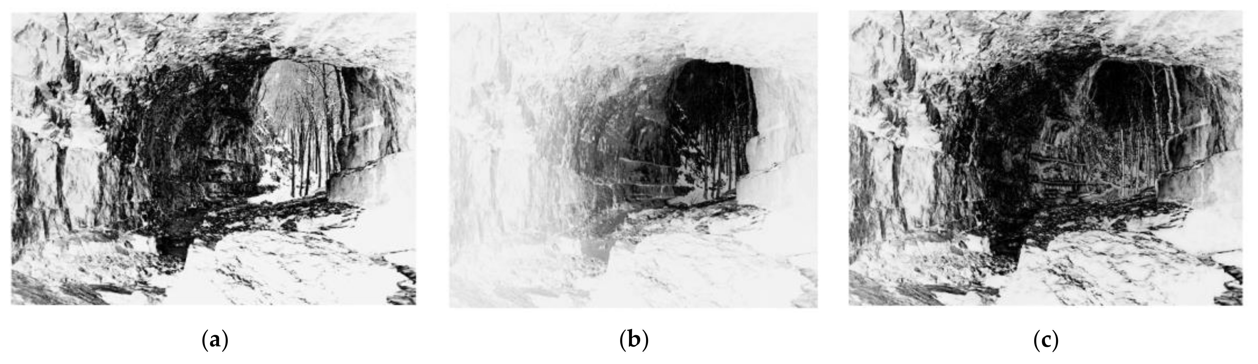 Entropy 24 00285 g003 550