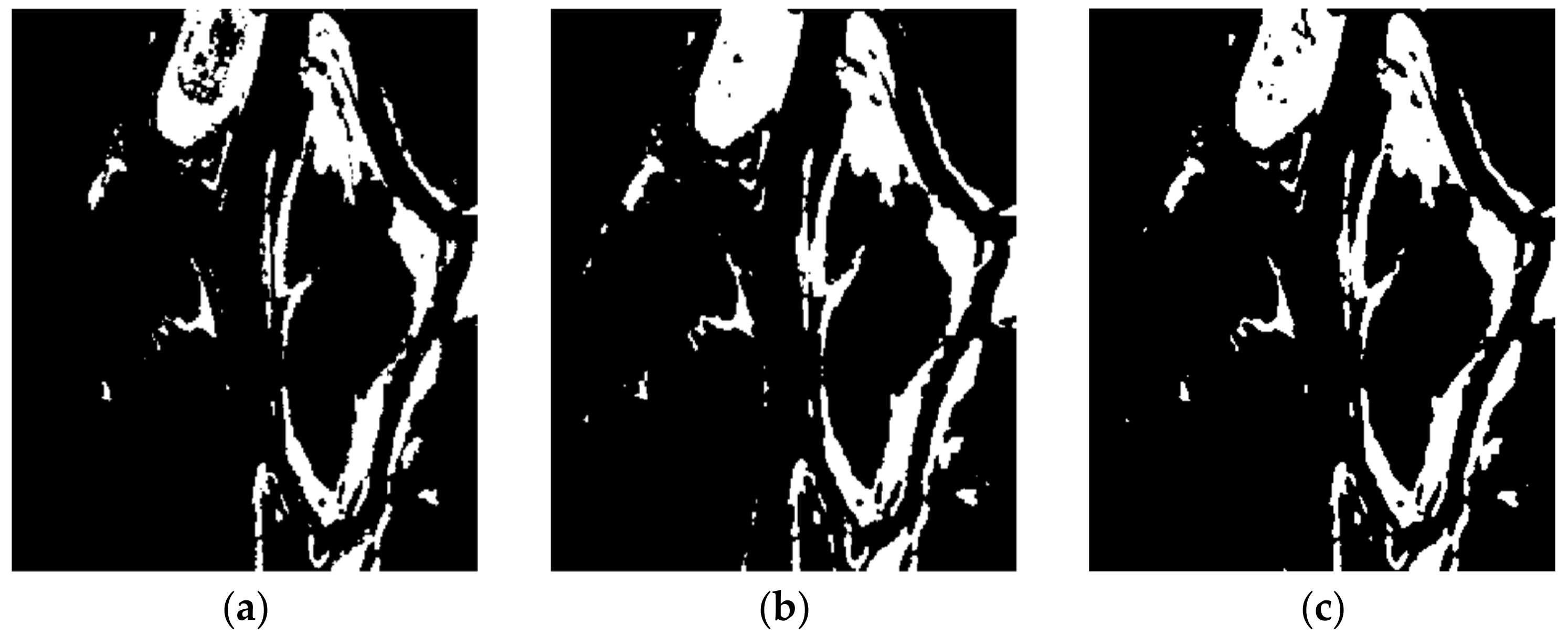 Entropy 24 00291 g008