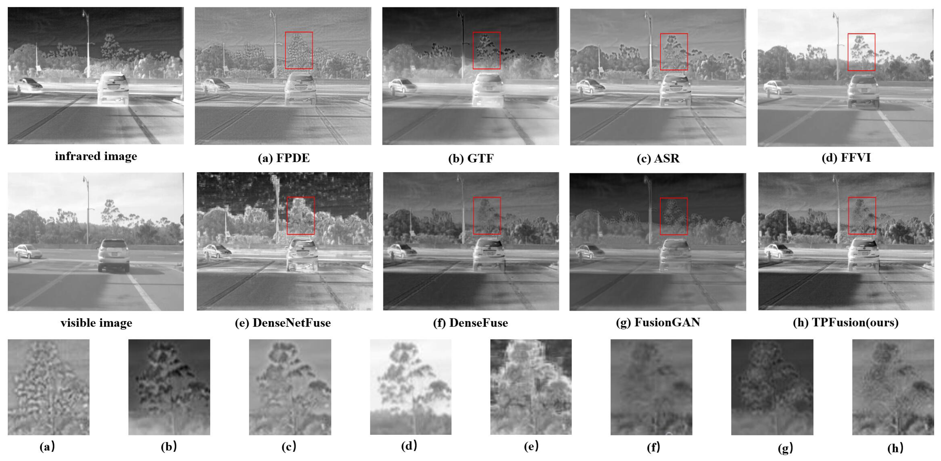Entropy 24 00294 g007 550