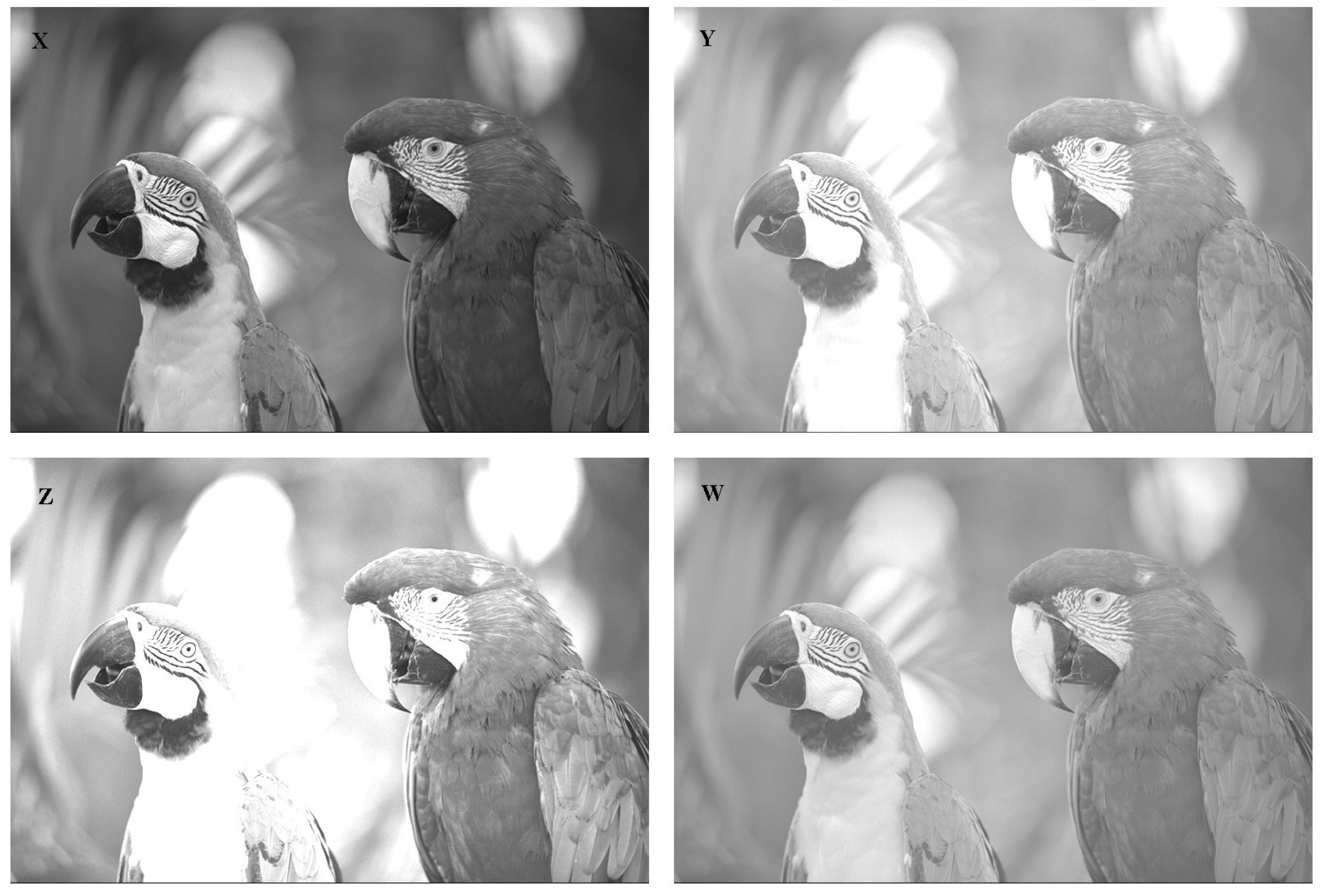 Entropy 24 00341 g002