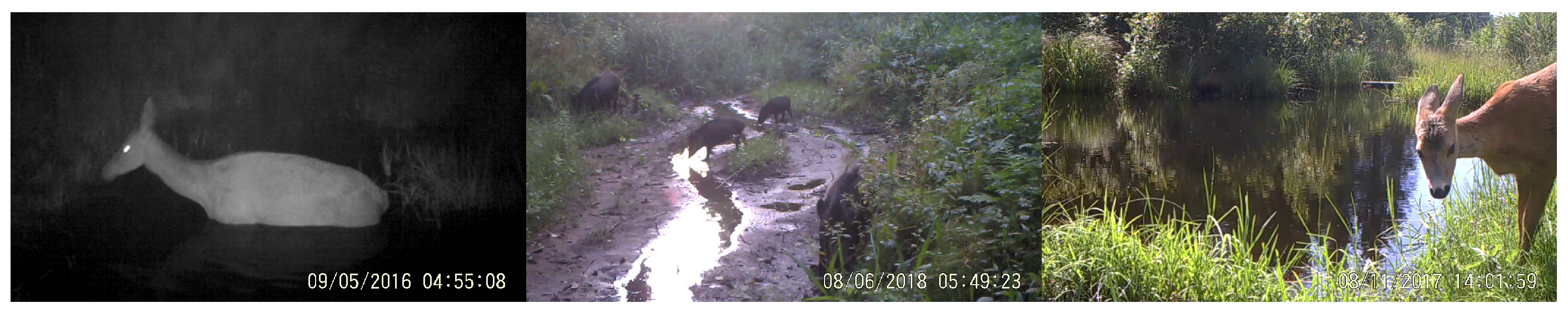 Entropy 24 00353 g003